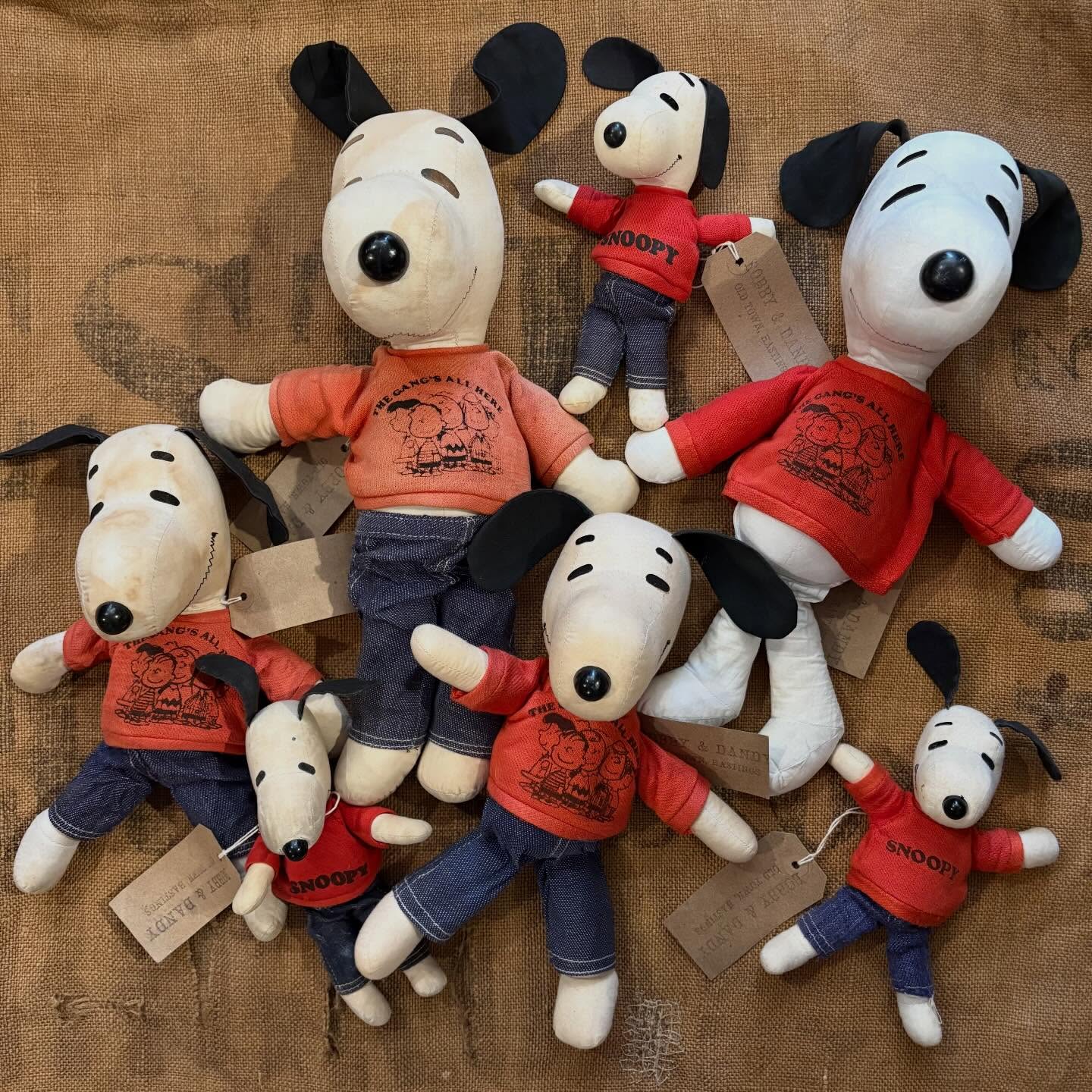 The gang’s all here! ✌🏻
This adorable collection of original 1960s & 1970s Snoopies is now listed online at bobbyanddandy.co.uk, as well as available in- store.
It includes larger sizes which are rarer to find, and the cutest little one. Irresistible! Sizes Small 8”, Medium 12” and Large 14.5” are currently available.
Open all day 11-5. Come find along George Street, Old Town Hastings!
#vintagesnoopy #vintagesnoopycollection #1960ssnoopy #1970ssnoopy #vintagepeanuts