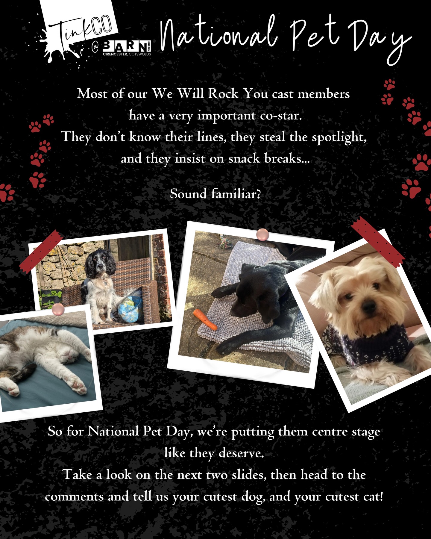 The cast of We Will Rock You would like you to know that they are not the main characters…
These are🐾
Thank you to our cast for sharing their iconic co-stars with us - we’re obsessed!
Our floofy boys and girls have three requests:
buy a ticket, support the arts, fund treats.
Vote below:
🐶 favourite dog
🐱 favourite cat
We also want to know your answer to this age old question - are you a dog or a cat person?
#WeWillRockYou #TinkCo #InternationalPetDay #SupportTheArts TheatreLife