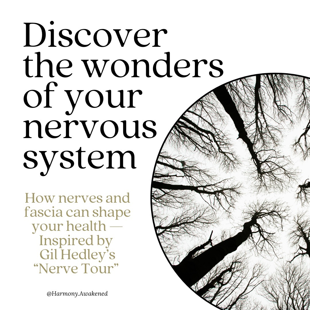 🦸Our nervous system is the unsung hero of the human body, intricately connecting every cell, tissue, and organ to create a seamless flow of communication and regulation.
It’s not just about sending signals.
It’s about how we feel, process, and interact with the world!
As Gil Hedley beautifully emphasizes in his explorations of the human body, understanding the body on a deeper level allows us to appreciate its dynamic complexity. His work on fascia and anatomy shows how every layer of our body, from the skin to the nervous system, is interconnected.
When we nurture and regulate the nervous system, we open the door to better overall health and functionality. Practices like Craniosacral Fascial Therapy (CFT) and other bodywork modalities can help calm the nervous system, promoting clarity, ease, and resilience.
Have you noticed how much better you feel when your body is in a state of calm regulation? THIS is the mind and body connection.
Last year, I had the privilege of attending Gil Hedley’s Nerve Tour. Over the course of his journey to more than 100 cities across North America, he revealed the incredible intricacies and connections within the human body.
As the tour comes to a close, Gil is offering a special opportunity to experience this transformative presentation online for the next week. For more details, check out Slides 6 and 7.
I highly recommend this to anyone, especially those in the science, medical, or body therapy fields—it’s truly life-changing!
#NervousSystem #Fascia #GilHedley #IntegrativeAnatomy #FascialTherapy #IntegralAnatomy #CraniosacralTherapy #TheNerveTour #MindBodyConnection #Somanaut #CFT