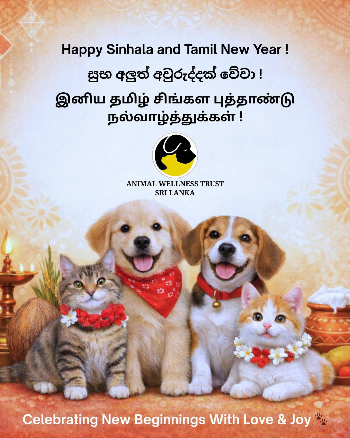 Happy Sinhala and Tamil New Year !
සුභ අලුත් අවුරුද්දක් වේවා !
இனிய தமிழ் சிங்கள புத்தாண்டு நல்வாழ்த்துக்கள் !
Celebrating New Beginnings With Love & Joy 🐾
#teamawt #animalwellnesstrust