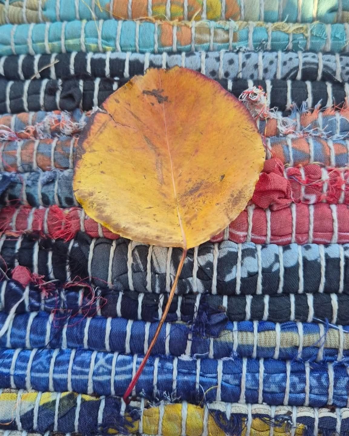 Good Morning Sunday!
Meet us in the park at 9am for some super chill movement. Coffee & delicious snacks @thenourishedsovereign & the food & knowledge share @sagemoruya afterwards.
See you in the studio at 4pm for a nourishing Yin & Mindfulness practice to wind down the weekend and set up for the week.
Cat xx
0474 659 792
@thatlittyogaplace
13/73 Vulcan Street MORUYA
www.thatlittleyogaplace.com.au