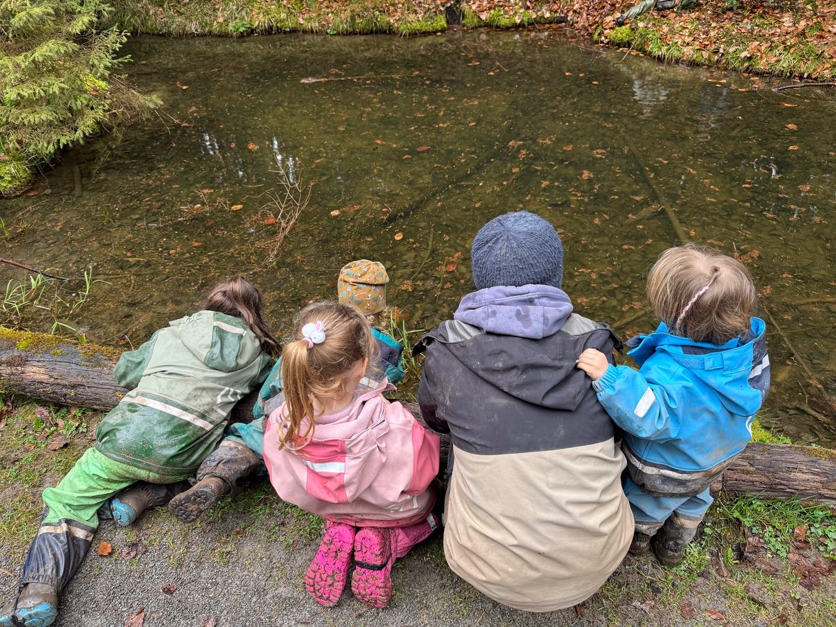 Heute ging es auf Entdeckungstour 🐸
An unserem kleinen Tümpel entdeckten wir heute viele Kröten (Bild 2) und dazu den passenden Laich in schöner Schnurform (Bild 3).
Auch einen wunderschönen Feuersalamander konnten wir am Ende noch bestaunen 🥰🌳!