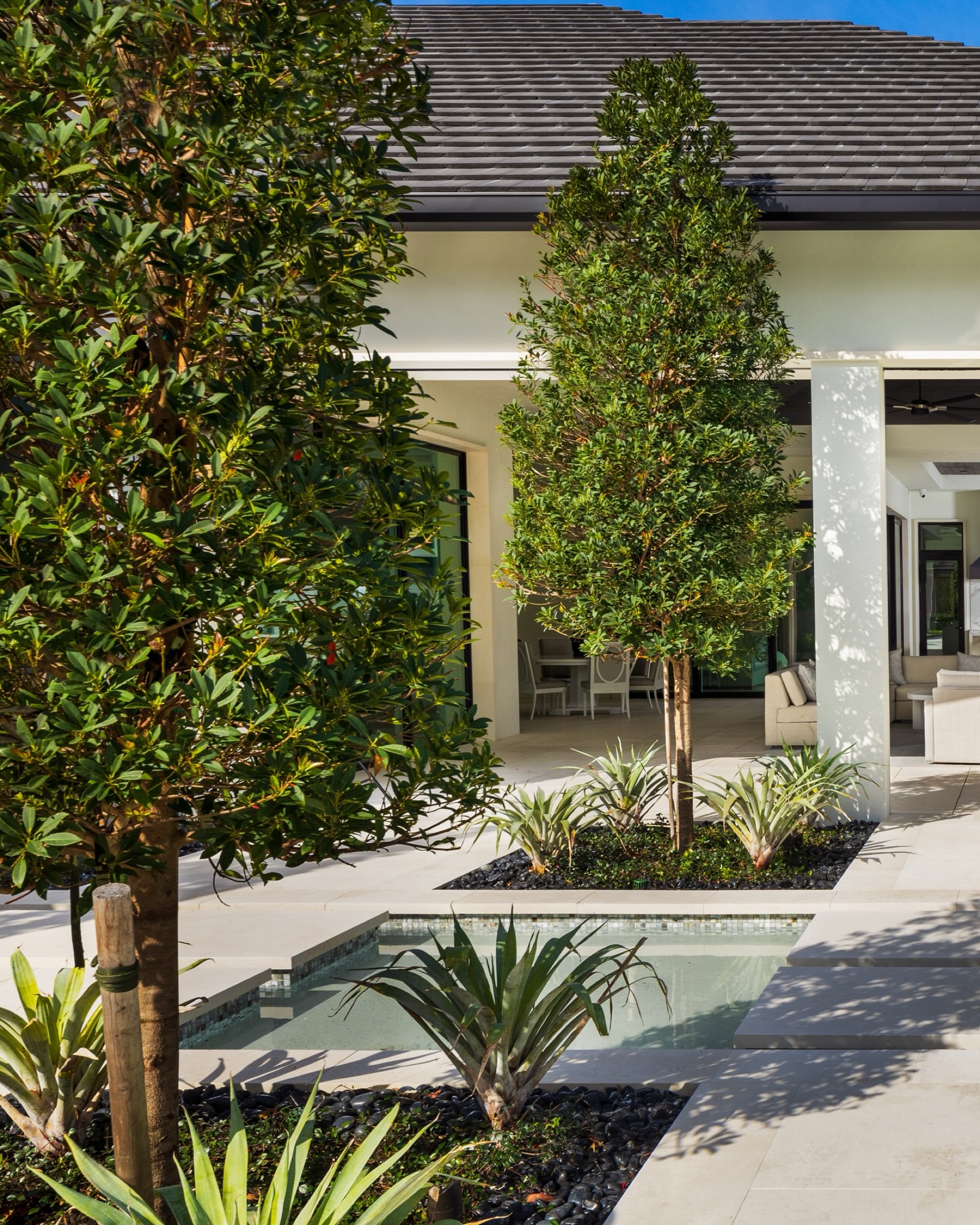 🌳 Framing the water with living architecture 🌳
Japanese Blueberry trees bring height, privacy, and year-round structure to this poolside retreat while soft reflections and layered planting create a sense of calm the moment you arrive. Thoughtful landscapes aren’t just seen, they’re felt.
#JapaneseBlueberryTree #LuxuryLandscapeDesign #PoolsideParadise #NaplesFloridaDesign #OutdoorLiving