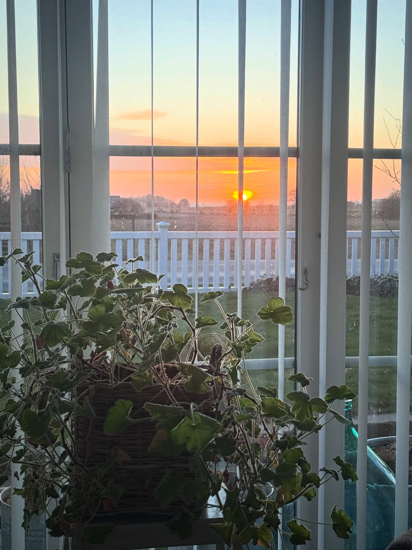 God kväll🧡
Landar i uterummet med solens sista strålar som trillar ner i havet.
Trött men nöjd över helgens arbete. En obokad och ostörd helg med inga måsten. Mycket kunde prickas av på ”att göra listan”. 🙏🏻 Skönt!
#solnedgång #sunset #veckansvackraste #utsikt #sungoesdown