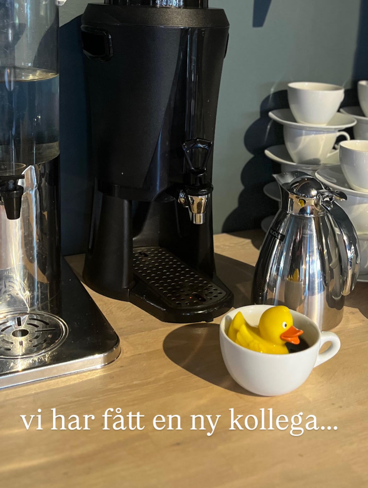 Vi vet inte riktigt hur det här hände…
men en liten anka har flyttat in hos oss 🐥
Den har redan hunnit ställa till det lite 😅
och nu vill den tydligen vara med i årets ankrace också…😐
Biljetter finns hos oss på kafé Änglagott 💛
Säkra din anka innan det är för sent 👀
Söndag 26/4 🐥
Gudstjänst kl. 11 i Nykvarnskyrkan
→ sen går vi tillsammans till årets ankrace
Grillkorv & fika finns 💛
(ankan kommer också…)
