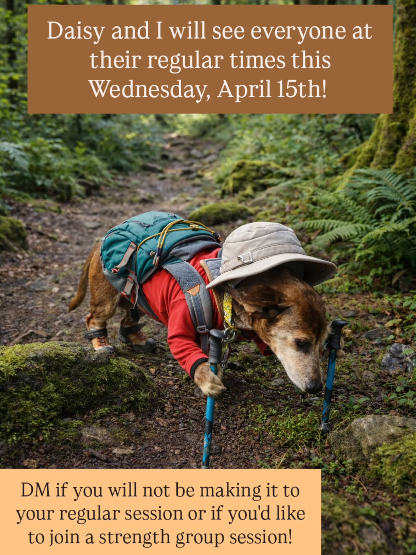 Looking forward to seeing everyone this Wednesday!
Let me know if you won't be making it or if you'd like to join a group session! 💪