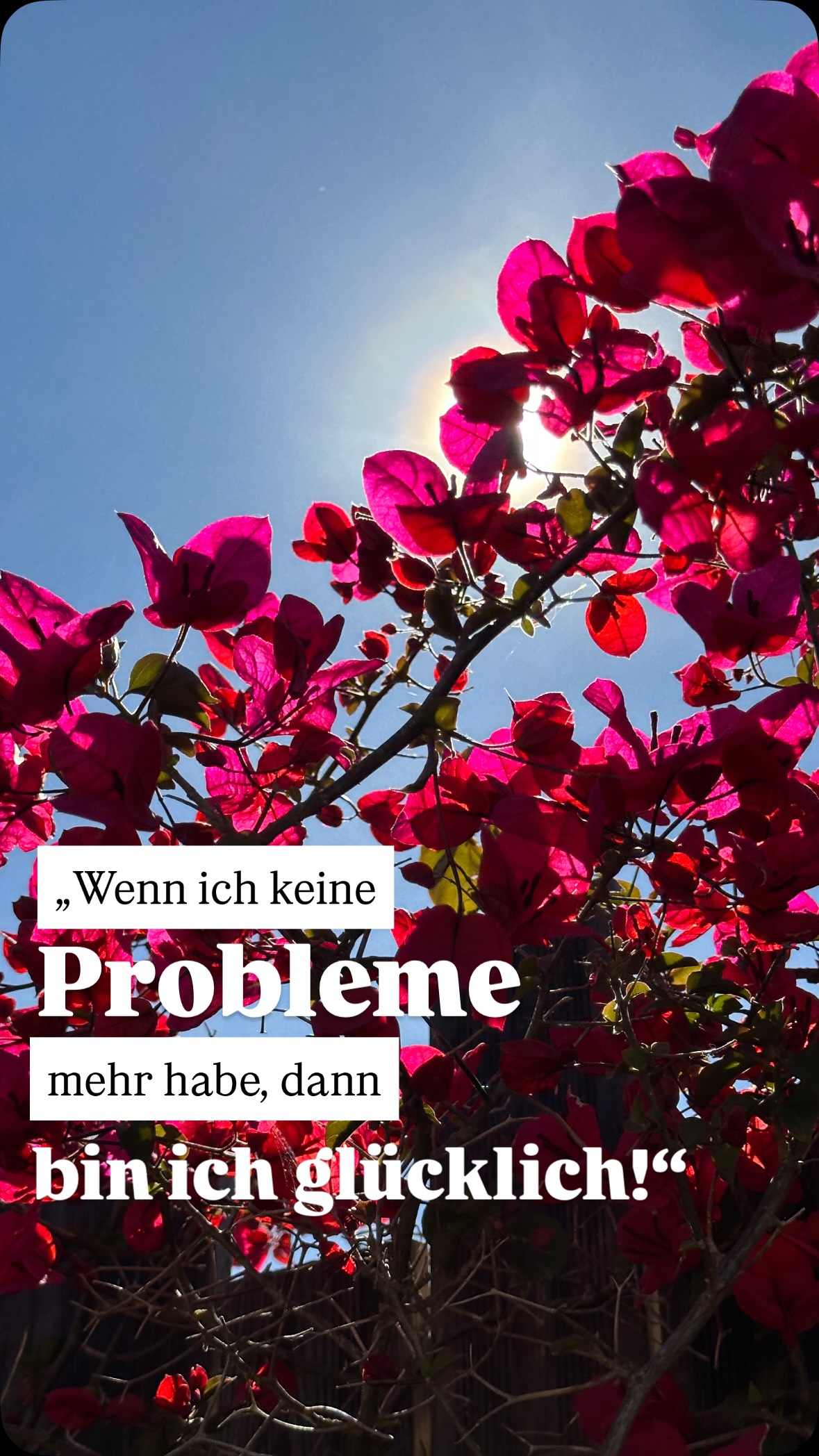 Glück heißt nicht, keine Herausforderungen mehr zu haben.
Es entsteht, wenn wir lernen, damit umzugehen ✨
Wir denken oft:
„Wenn xy passiert, dann bin ich endlich happy. Dann bin ich zufrieden.“
🚨🚨🚨
Sorry girl (or boy), aber es wird immer etwas größeres oder kleineres geben, was dich herausfordert in deinem Leben. Darum gehts doch eigentlich :)
@lauramalinaseiler meinte am Samstag, wir sollen uns für unsere Herausforderungen feiern. Jeder Tag ist Übungstag.
Find das einen schönen Gedanken.
Wenn ich zurück blicke auf mein Leben darf ich sehen, wie doll ich gewachsen und wie resilient ich geworden bin. Sowas wie gestern ist jetzt nicht mega geil, aber haut mich auch nicht mehr vom Hocker.
Starke Wurzeln, große Flügel! 🌳🪽
Das ist, was ich auch meinen Kundinnen im Coaching immer wieder mitgebe. Meine geheime Erfolgsformel für ein freudvolles Leben 🧚🏼
Naja und die Panne haben wir mit Humor genommen! Weil hilft doch eh Nix 🤓
Was ist dein Problem, von dem du denkst, wenn das endlich weg ist, bist du happy!
Teils in den Kommis.
Bin gespannt ✨