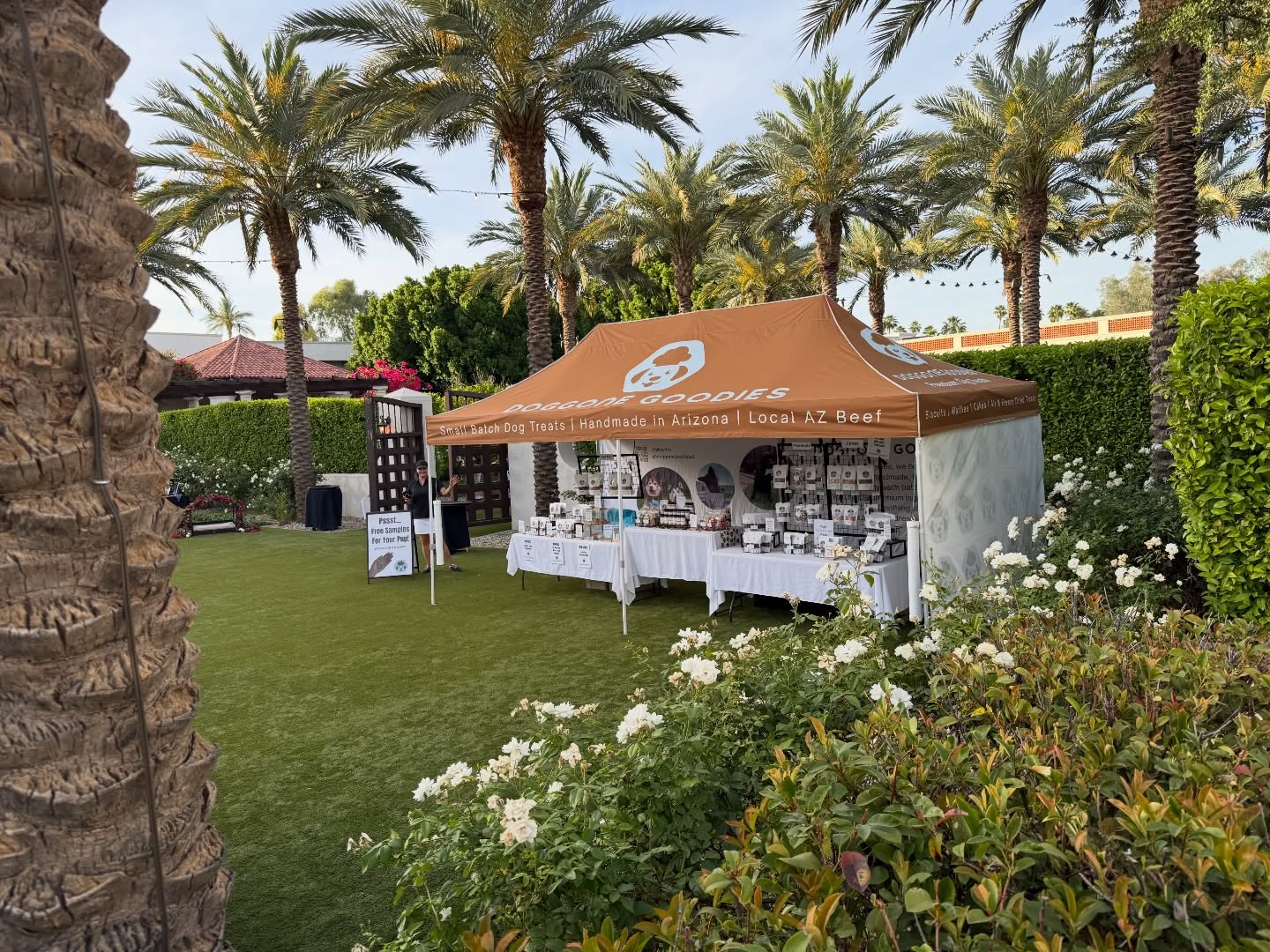 We’re Doggone Goodies 🐾
We’re a small-batch bakery and deli for dogs making real food for everyday pups. We bake crunchy biscuits, waffles, and cakes, and we also offer freeze-dried meats and produce.
Everything is made with simple ingredients you can actually recognize. No fillers. No junk. Just treats you can feel good about giving your dog.
If you’re looking for better options for your pup, you