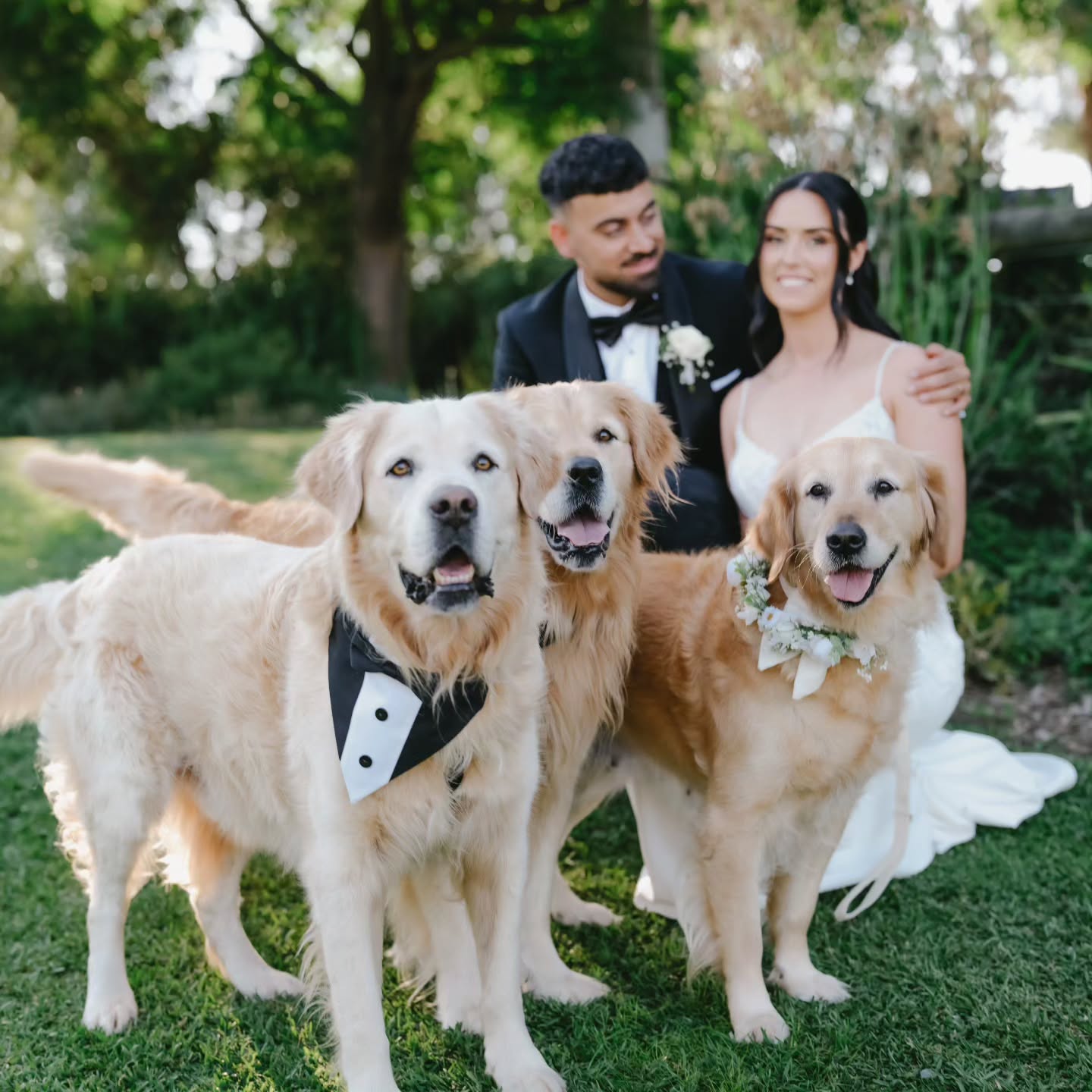 Just bringing the family! 😀
Picture by @duuetweddings