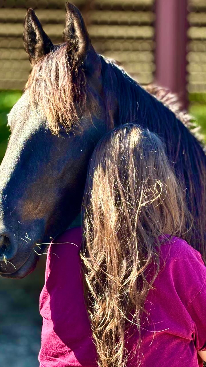 And in their presence,
something in us remembers
how to heal.
#ranchoreposo #thingstodoinocala #friesanhorse #healing #experience