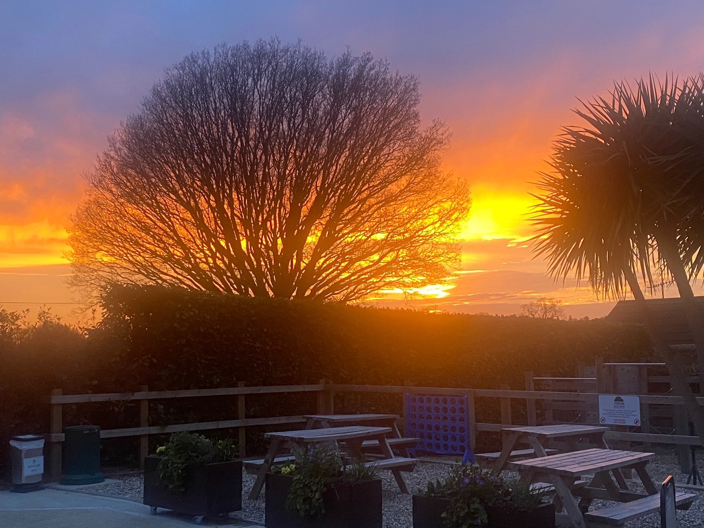 An amazing sunset tonight at Red Shoot Camping Park 🌅#sunset #redshootcampingpark #newforest #goldenhour☀️