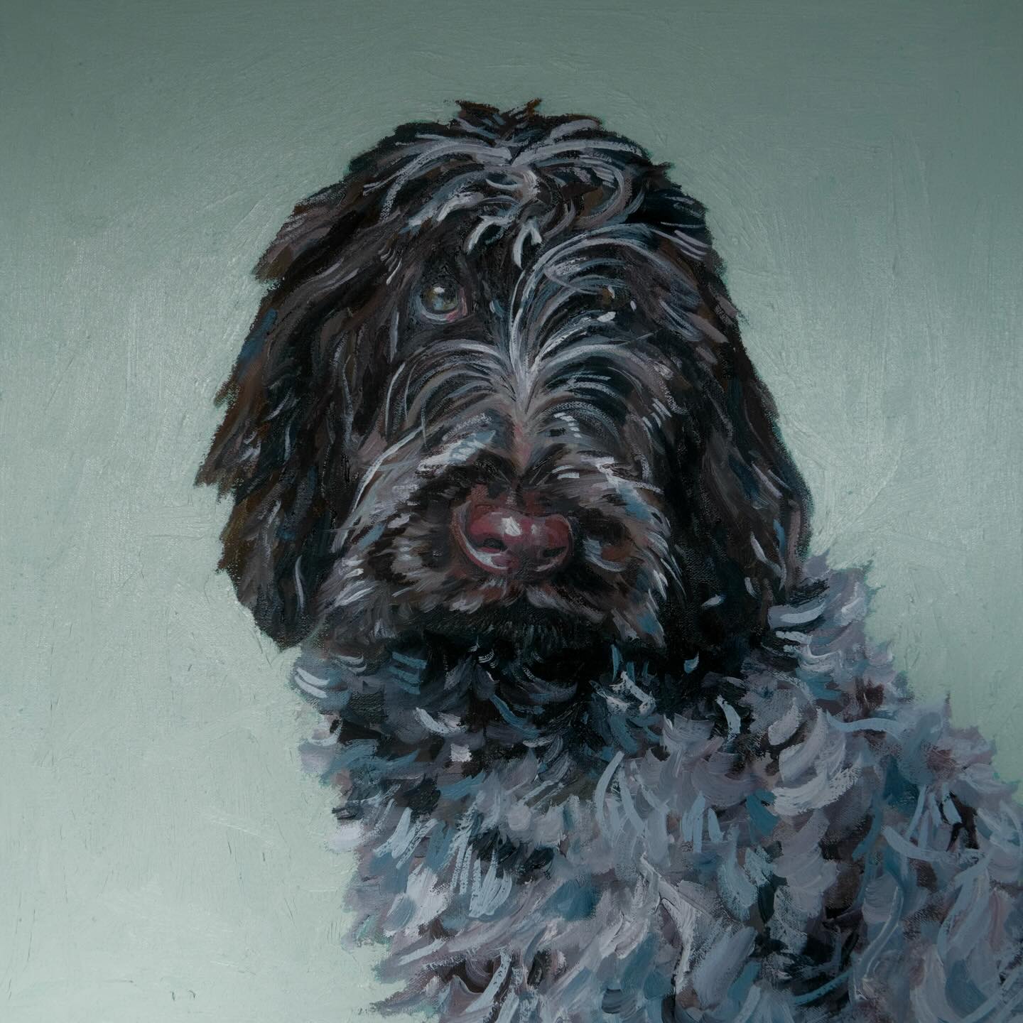 Bramble - 20 Weeks Old (2026) oil paint and stick on canvas, 40x40cm
#puppy #petportrait #oilpainting #oilpaintingoncanvas #fyp