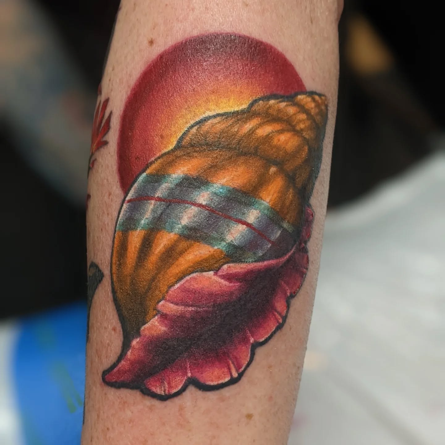 A shell for my friend, Brooklyn!
#carrborotattoo #carrboro #chapelhilltattoo #chapelhill #nctattooers