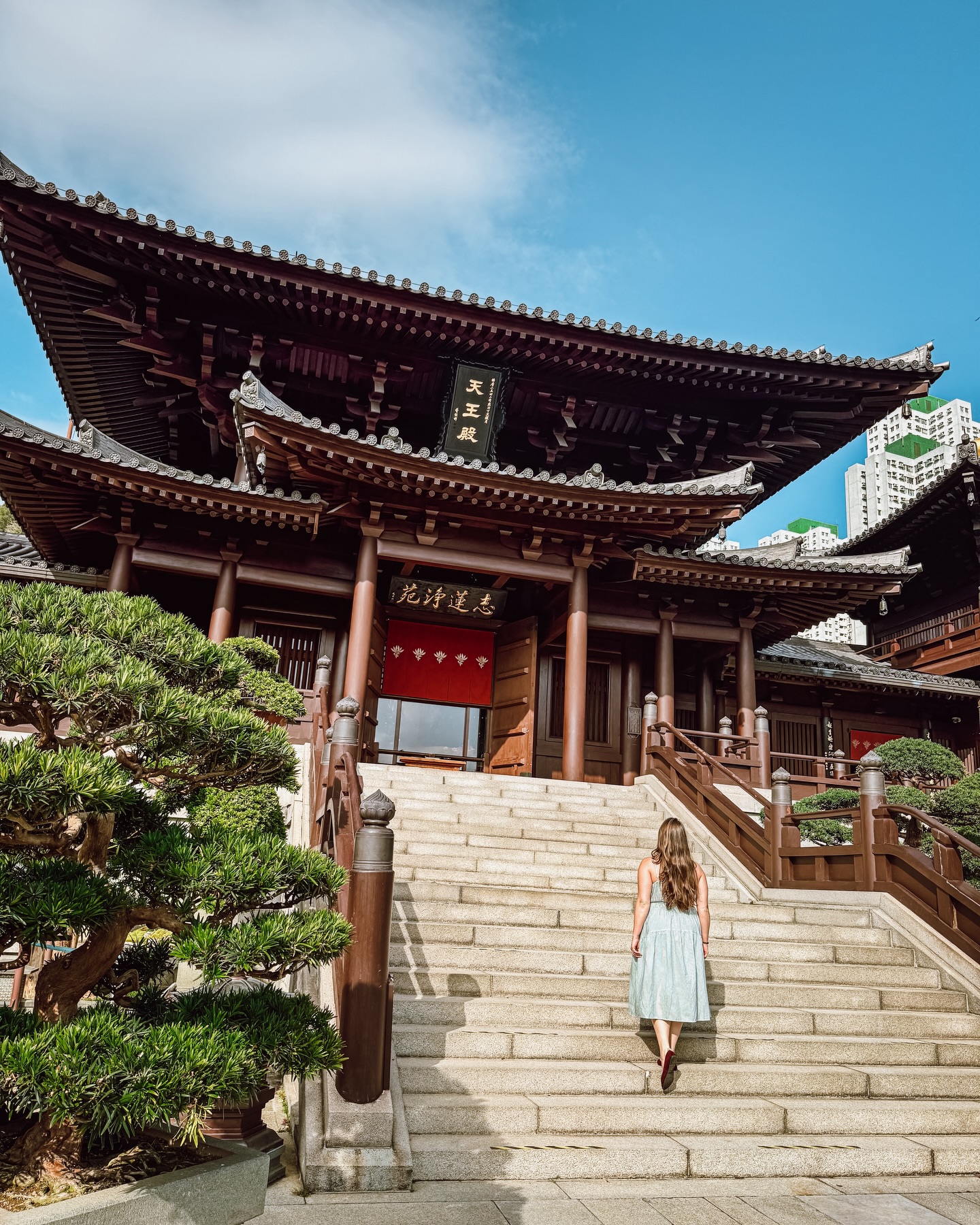 Where to find a little zen in the middle of Hong Kong
Hong Kong can sometimes give you sensory overload with big city vibes with a lot going on …and then you step into the Chi Lin Nunnery and Nan Lian Garden and it’s just so peaceful.
Tucked right in the middle of the city, this place feels completely different. Wooden temples, perfectly placed bonsai, lotus ponds, and that calm, slow pace you don’t expect to find in such a busy place.
The nunnery itself is actually fully operational, home to Buddhist nuns who live and practice there, which makes it feel even more special when you visit. It’s built in traditional Tang Dynasty style, without a single nail, which makes it even more impressive when you see it up close.
Right next door, Nan Lian Garden is one of the most beautiful spots I found in Hong Kong. Every path, rock, and tree feels intentional.
And the best part… it’s completely free. No entrance fee for either spot!
Getting there is easy too. Take the MTR to Diamond Hill station and it’s about a 5–10 minute walk. Once you’re there, the garden and nunnery are basically connected, so you can just walk between them in a few minutes across a bridge.
Is Hong Kong on your list?
#vacation #travelblogger #travelblog #traveltheworld #traveling #traveler #solotravel #sheisnotlost #traveltips #solofemaletraveler #travelinspiration #travelhacks #travelagent #traveladvisor #vacationplanning #travelplanner #travelagency #luxurytravel #travelagents #travelexpert #travel #dreamvacation #vacationplanner #traveldeeper #hongkong #shanghai #taipei #discoverhongkong #hongkong🇭🇰 #beijing
