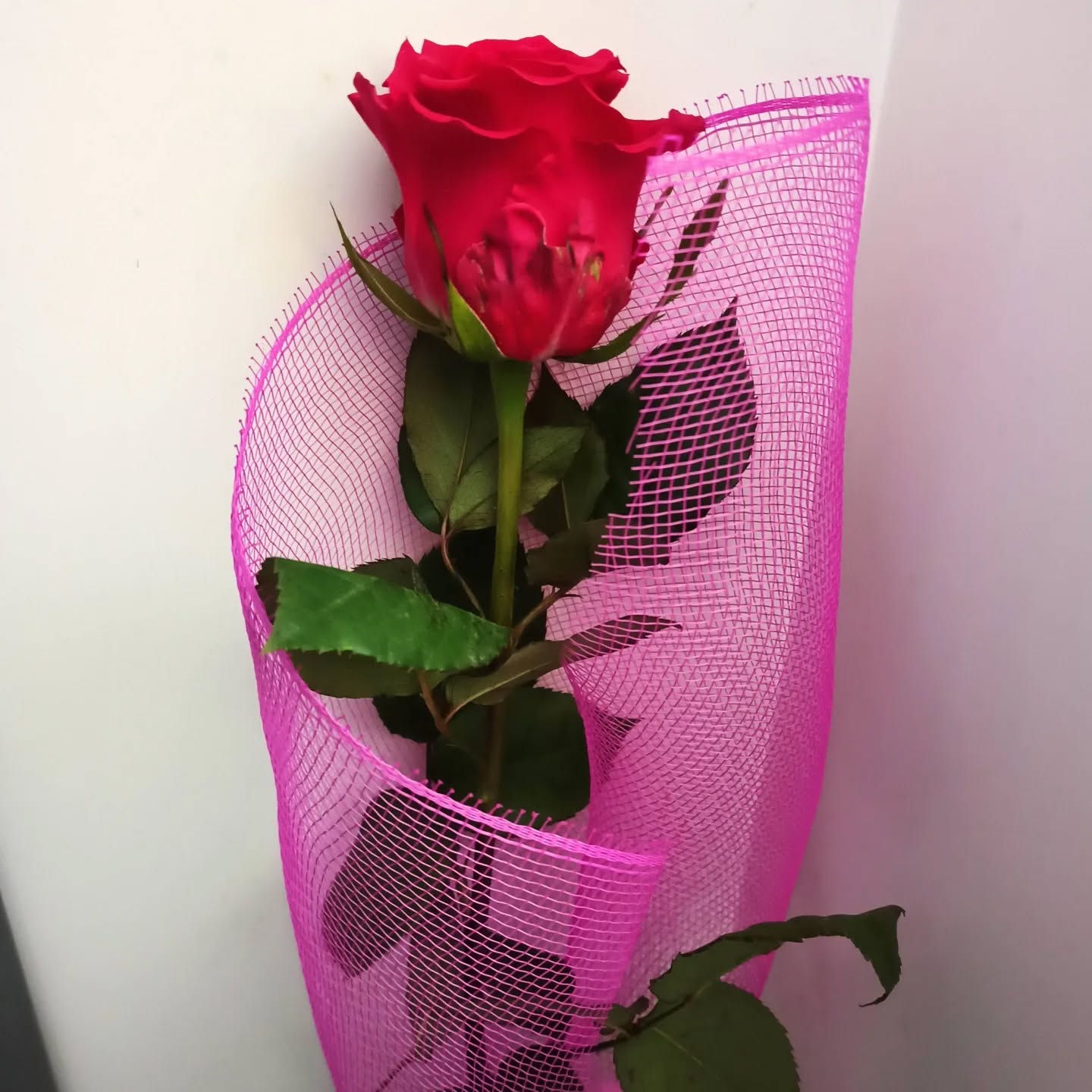 Semplice, ma piena d'amore 🤩🥰🌹💖
#rosarossa #gestisemplici #amorvero #domenicaromantica