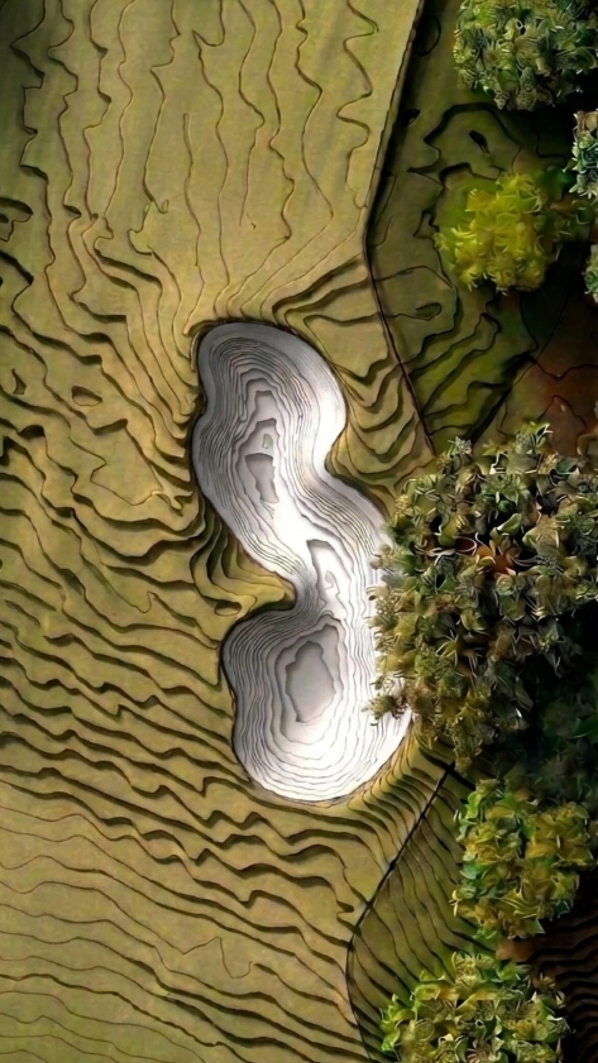 A detailed look at the deep fairway bunker guarding the right side of the landing zone at Augusta National’s opening par 4 “Tea Olive”. The first of many hazards that must be navigated to ensure a successful round at Augusta National #themasters