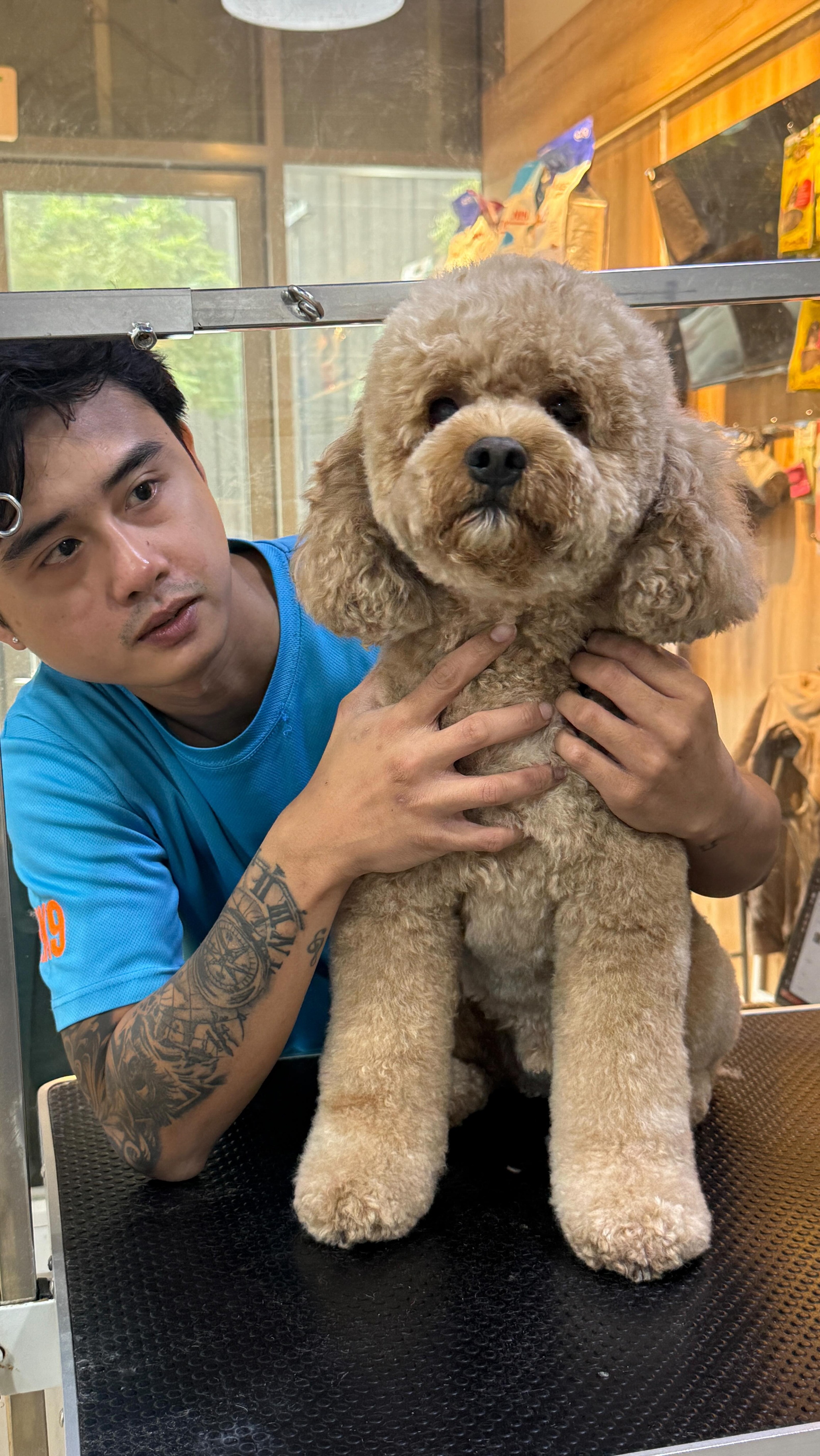 Nail dust? What nail dust? 🐶
#tailwaggin #petgrooming #petgroomingdubai #dogsindubai