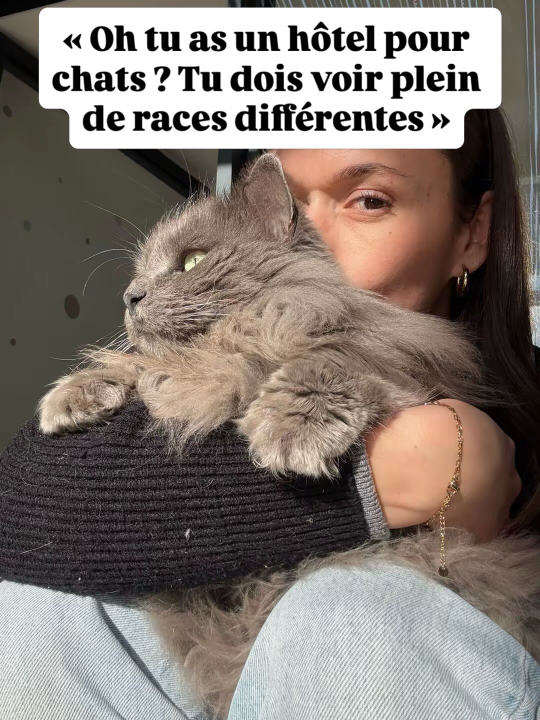 Et vous quelle est votre race préférée ? 😻
#cat #cats_of_instagram #pensionpourchats #hotelpourchats #aixenprovence