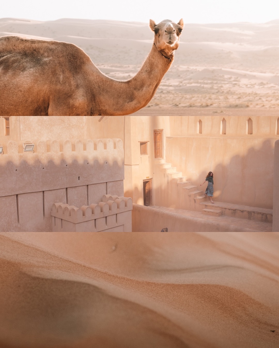 Was ist eure Lieblingsfarbe? 💛💚🧡💜💙🖤
Diese Bilder haben uns wieder daran erinnert,
wie viele Lieblingsfarben man gleichzeitig haben kann.
Wir können uns jedenfalls nicht entscheiden. 🤷♀️😁
Und ihr?
.
.
#travelcolors #travelphotography #colorsoftheworld #wanderlust #travelinspiration