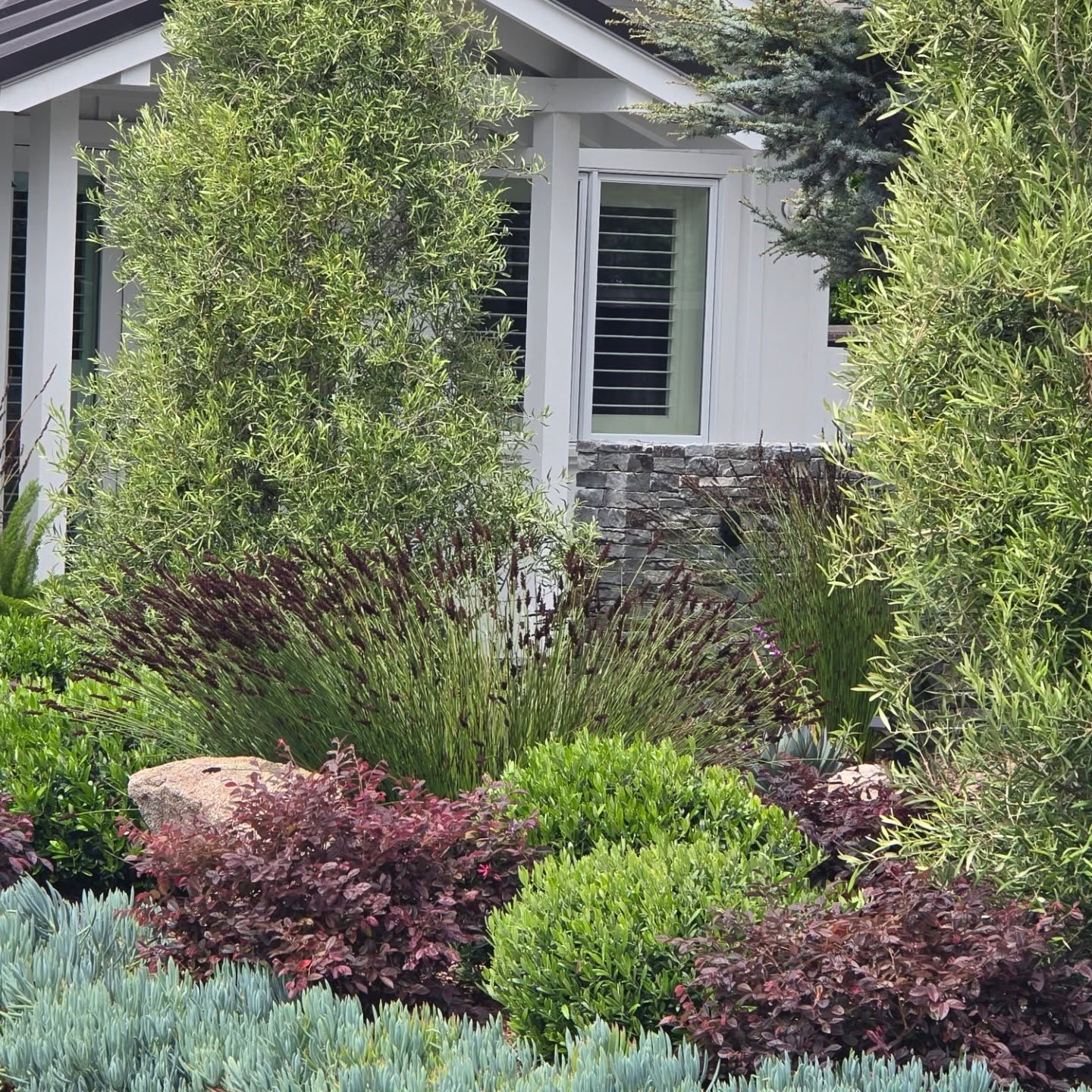 Checking up on a project we designed, built and currently maintain.
#Carmel
#LandscapeDesignBuild
#CarmelPointLandscapes