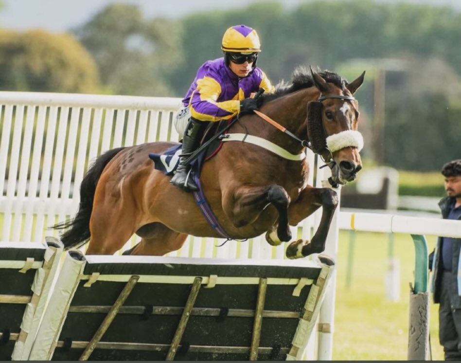 Belgarum wins nicely @fontwellpark on Tuesday evening for Alan & Gill, ridden by @freddiegingell11 👏🏻
@coralofficial
@dodsonhorrell