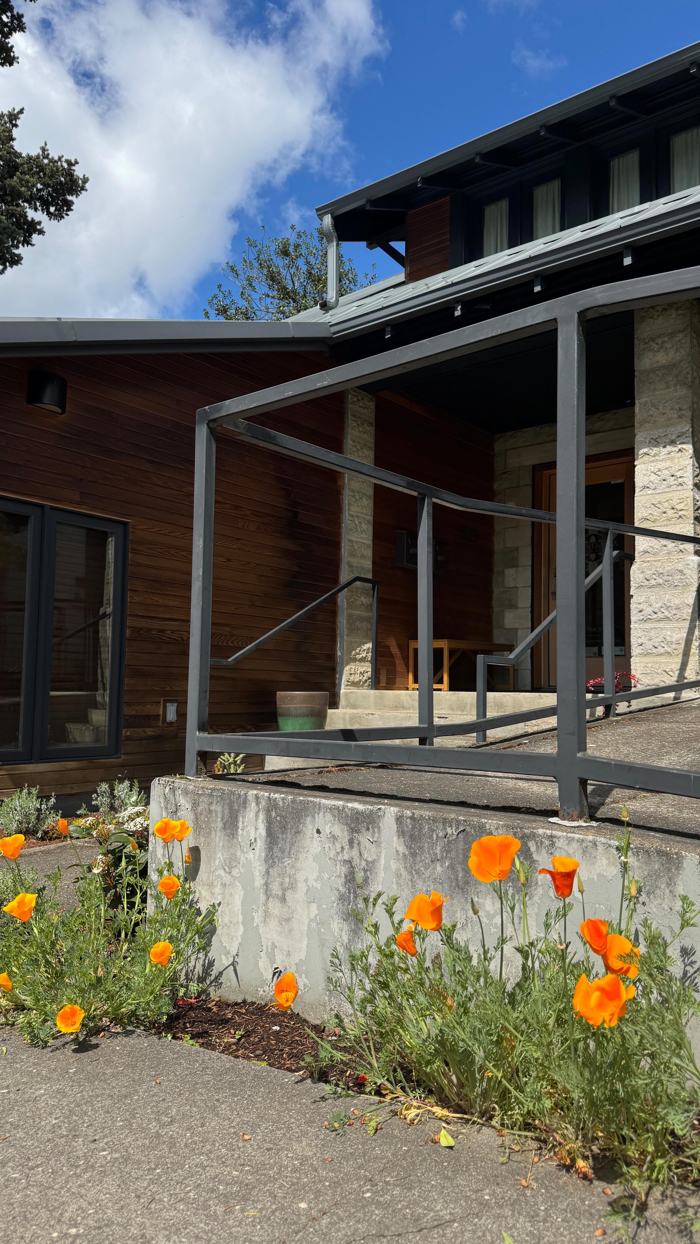 Spring garden at the clinic is lookin pretty cuuuuute! The cal poppies are singing, the jasmine is warming up for her seasonal debut, and the new natives are rooting and settling in.
You just wait for what Iāve got planned for the back parking lot garden. Hint: there will be zinnias & sunflowers like last year onlyā¦.MORE šš»š¼š±
-lindsey