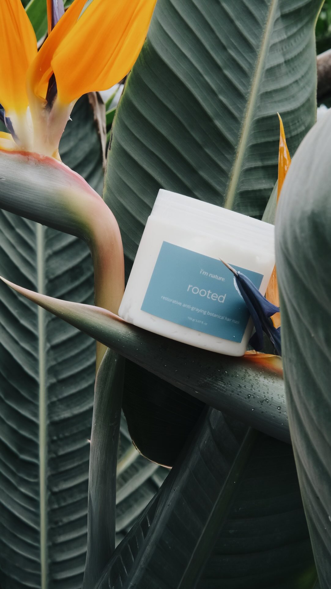 •ultra nourishing hair care set•
ultra nourishing hair care is defined by how deeply a formula supports both the scalp environment and the hair fiber itself
the products are not just coating the strands, but improving function at every level: hydration, protein structure, lipid balance, and follicle health
it combines: • lipid-rich oils to prevent moisture loss and restore flexibility • bioavailable proteins and amino acids to reinforce the hair shaft • antioxidants to reduce oxidative stress (a key factor in hair thinning and graying) • active botanicals that support circulation and scalp balance
here are the key ingredinets in our hair care set:
🌱 castor oil: stimulates scalp circulation for stronger, thicker hair
🌱 amla oil: supports melanin + helps prevent premature graying
🌱 argan oil: restores softness, shine, and elasticity
🌱 ashwagandha: reduces stress-related hair loss + boosts growth
🌱 quinoa: strengthens + repairs hair structure
🌱 rice extract: improves density, growth, and natural shine
🌱 raspberry extract: protects, soothes scalp, boosts repair
🌱 marula oil: deep hydration without heaviness
when these elements work together, hair becomes more resilient, better hydrated, and capable of sustained growth, this is what defines true nourishment, beyond surface-level results
explore the root & renewal set on our website to build a routine that supports your hair long-term 🪮