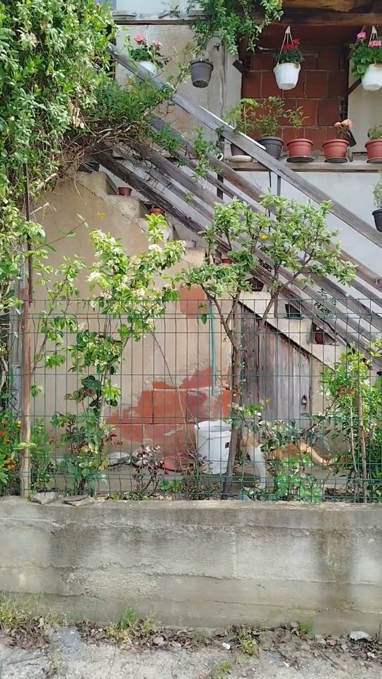 #leskovac #bohemianhome #bohemianstyle #bohemianhouse #kittylove