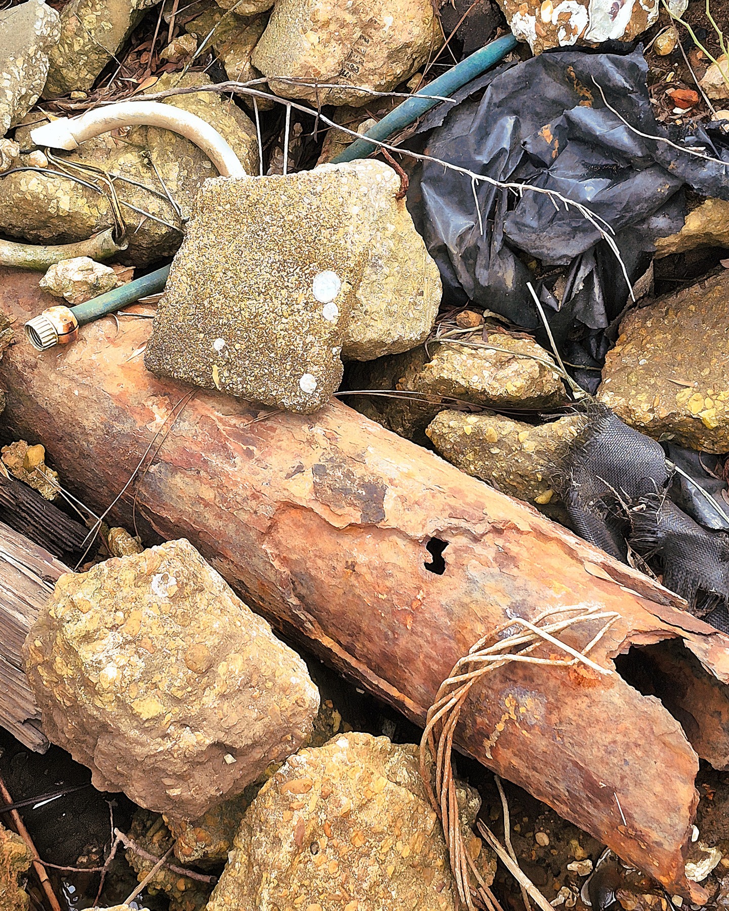 Texture Foraging
Daydream Misfit website and blog
https://www.daydreammisfit.com/blog