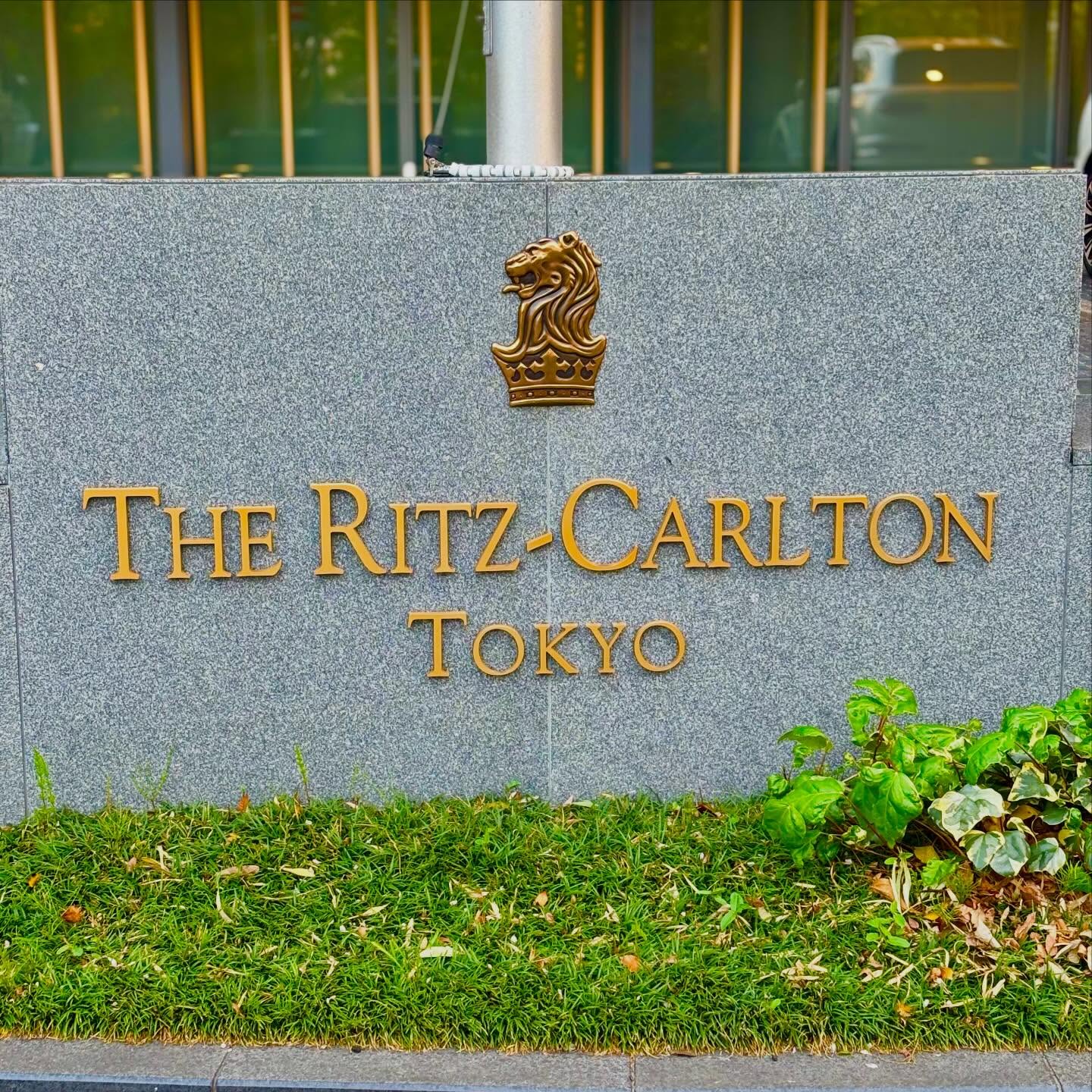 当店の蜂蜜『貴和蜜』をザ・リッツ・カールトン東京 @ritzcarltontokyo の45FのBAR
【ザ・バー】にて2種のカクテルにご使用いただいてますので行ってきました!
🥃ウィスキーベースのカクテル『雨水(桜前線)』
🍸ジンベースのカクテル『Bee´s and Tea(ビーズアンドティー)
東京を一望出来る空間でいただくカクテルは
格別で生産者として想いの詰まった貴和蜜を
使用したカクテルを召し上るゲストの方々を観て嬉しかったです♪
#リッツカールトン東京
#ザバー