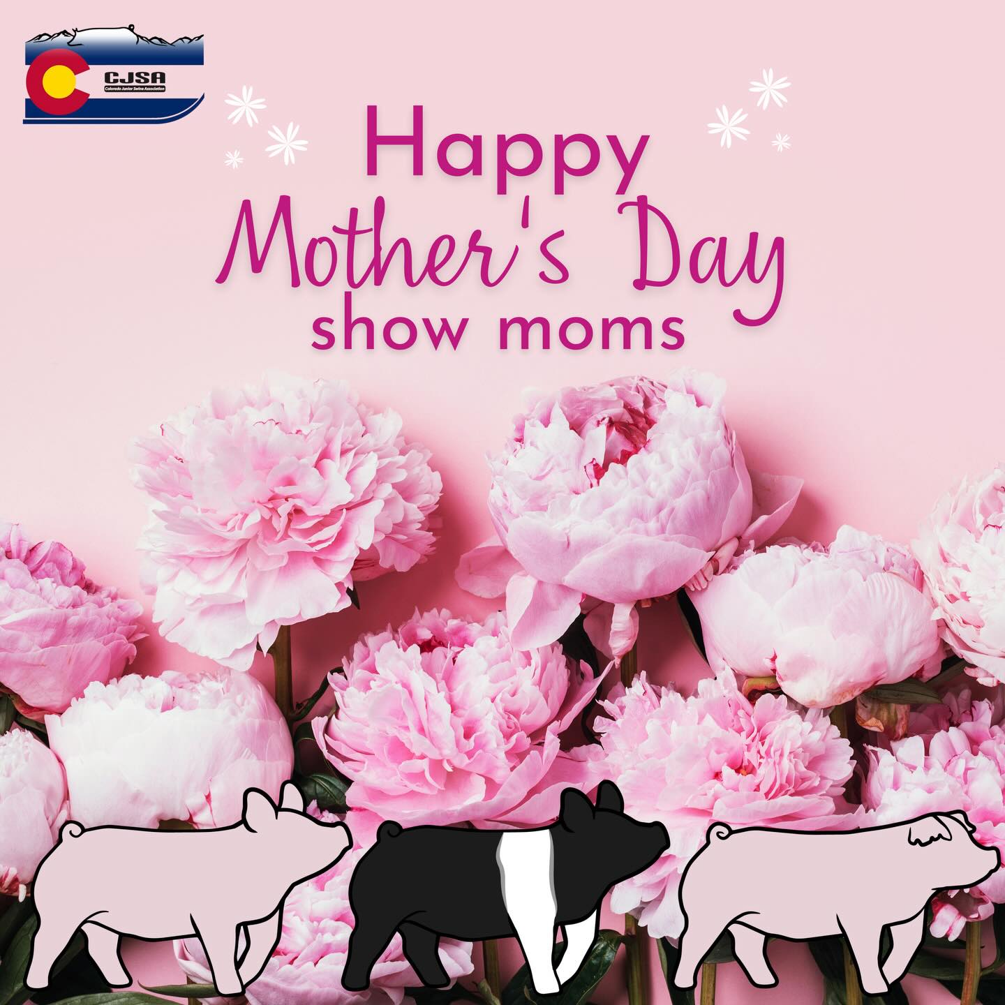 Let’s give it up for all of our show moms, because let’s face it we could not do this without them.