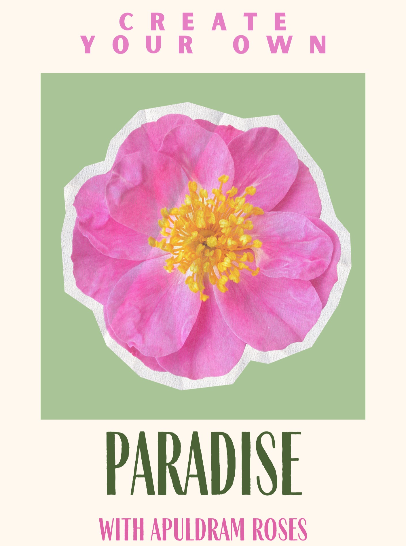 We’ve been trying to find the right words to describe what we do… and we kept coming back to the same ones: paradise and haven 🌿🌹
Our nursery has always been a place to slow down — to have a cup of tea, wander through the roses, join a class, or simply breathe.
We know the world is a bit overwhelming sometimes, so we welcome customers who just want to come in, have a cup of tea, buy a little potted herb or perennial and spend a bit of time disconnected from the outside world.
But it’s more than that.
Everything we do is about helping you create that same feeling at home. A quiet corner. A blooming garden. A moment of peace in your day.
✨ Your own little paradise.
Over the coming weeks, we’ll be sharing ideas, inspiration, and some of our favourite things to help you build yours.
What does your paradise look like?
#gardening #gardeninglife #paradise #roses