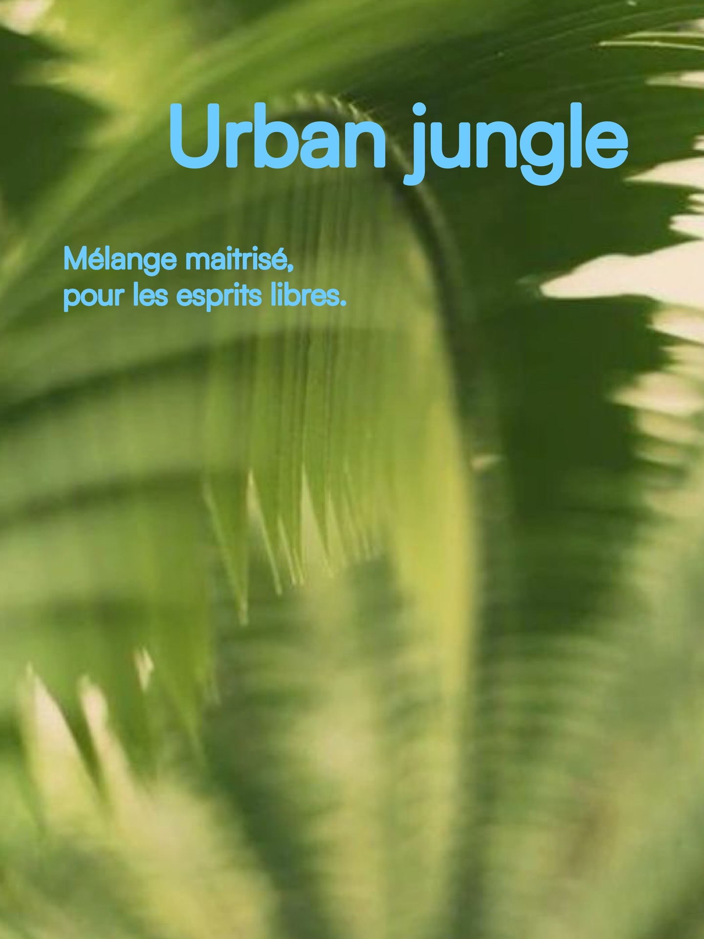 Urban Jungle 🌿
Mélange maîtrisé.
Pour les esprits libres.
Une laisse nouée à la main, pensée pour les chiens
qui naviguent entre ville et instinct.
08/08
La collection s'arrête ici, mais il y a encore quelques surprises à découvrir ✨