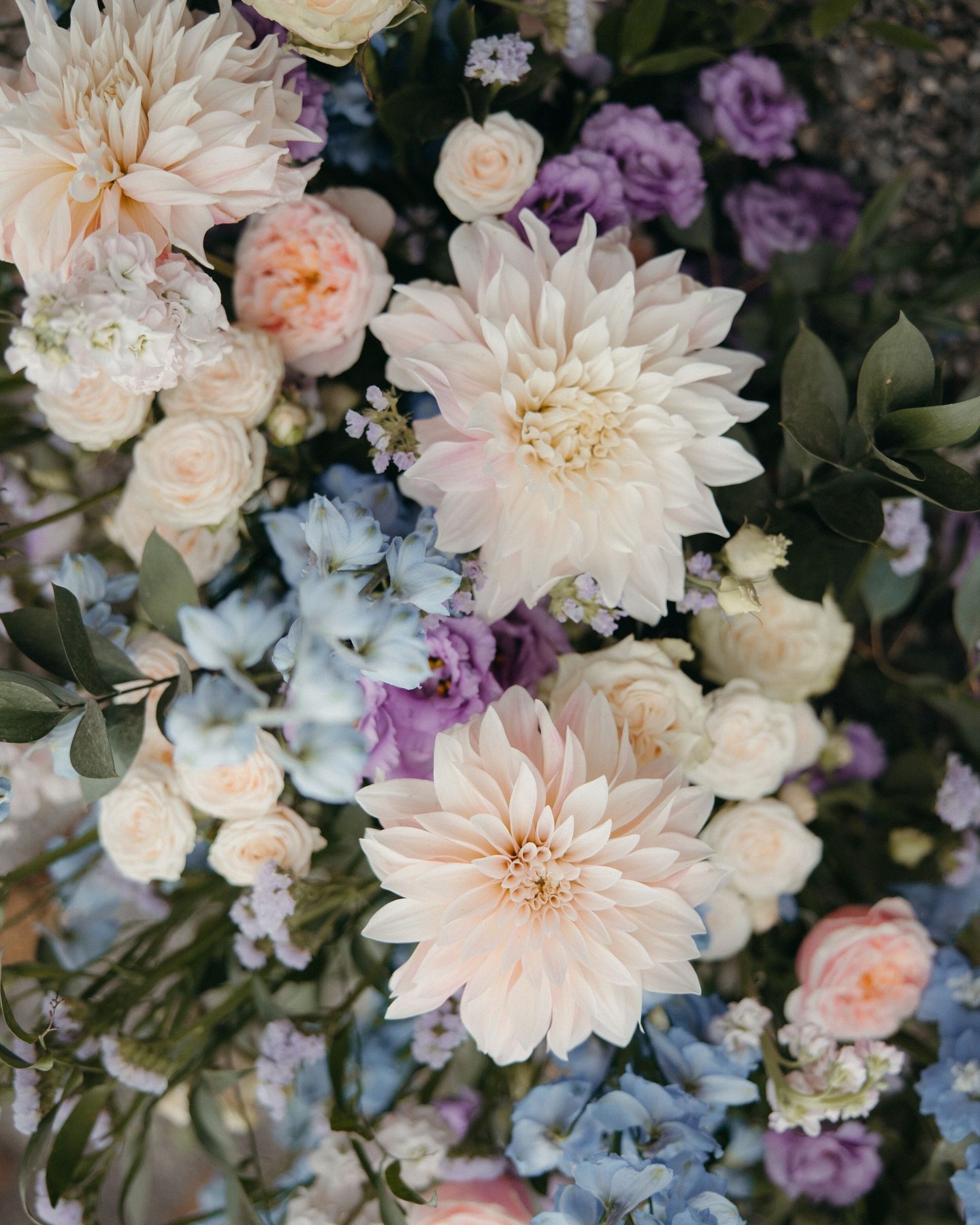 Flowers hold a quiet kind of power.
They soften a space, shape the atmosphere,
and bring a sense of movement that cannot be replicated.
But for us, floral design is never about abundance.
It is about restraint, balance, and intention.
Every stem is chosen with purpose.
Every composition is created to feel natural, yet deeply refined.
Because true beauty does not overwhelm.
It draws you in — gently, almost without you noticing.
This is how we approach floristry:
as an integral part of the overall experience, not an addition to it.
If you are looking for floral design that feels effortless, elevated, and quietly distinctive,
we would love to create it with you.
PLANNING, PRODUCTION & FLORAL DESIGN: @gaeadesignevents
WEDDING VENUE: @st_charles_hall
PHOTOGRAPHY & VIDEOGRAPHY: @paramonova_movies
HAIR & MAKE-UP: @julia__dittrich
CATERING: @gamma_catering
CAKE: @pandemiel.ch
RENTALS: @options_ch
STATIONERY: @tennhensdesign
CUSTOM TABLECLOTHS: @prints_by_fi
STRINGS: @musaico_DJ: @deindj.ch
BEHIND THE SCENES VIDEO: @switzerland_dronefilming