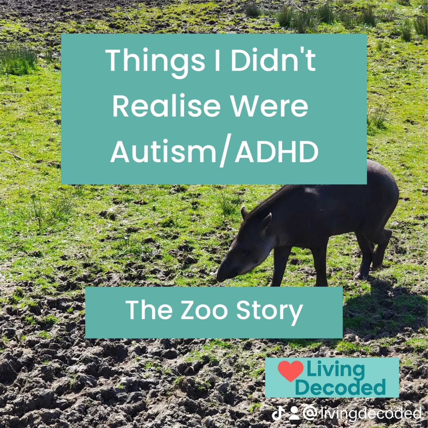 The autism assessment question that confused my husband…
In my autism assessment I was asked how many animals I could name in 60 seconds.
My husband later tried it and got around 47.
I got 18.
I asked him how he thought of so many.
He said he just jumped between categories - pets, farm animals, sea animals.
I told him my brain walked around the zoo.
When I ran out of animals I’d seen there… I couldn’t think of any more.
My brain didn’t think animals.
It thought of places that animals exist.
Getting diagnosed later in life is often a series of moments where you realise your brain processes the world differently.
This was one of mine.
Not wrong.
Just different.
#autisminwomen #lateautismdiagnosis #neurodivergent #livingdecoded #autismawareness