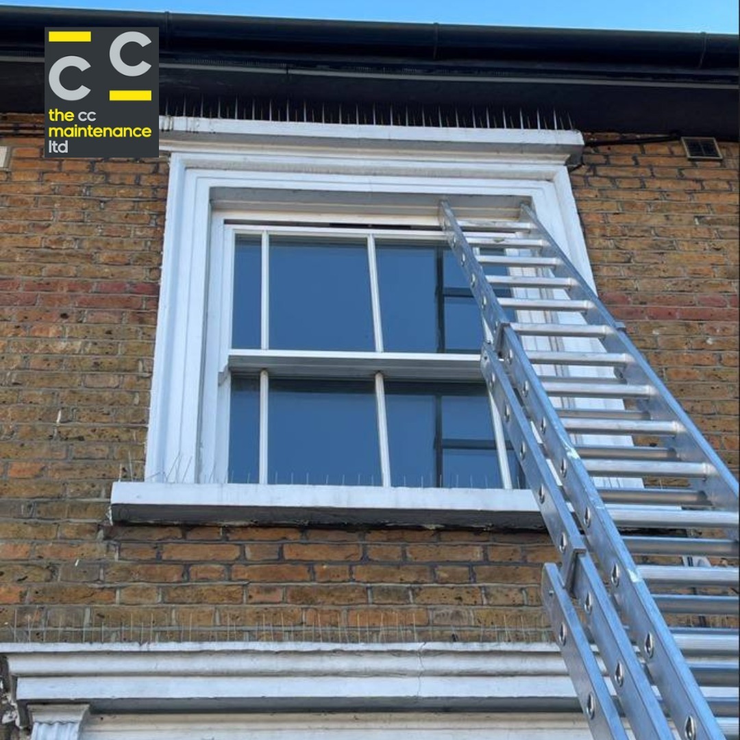 🔨 At The CC Maintenance LTD, we're all about preserving the beauty and functionality of your residential spaces. Today, we want to showcase a recent project where we installed Pigeon Spikes outside a charming home in London.
🔒 Why Choose Pigeon Spikes? Pigeon spikes are an effective and humane way to keep unwanted feathered guests away from your property. They ensure your windows and ledges stay clean, safe, and pigeon-free!
🏡 Protecting Homes, One Spike at a Time! Our skilled team meticulously fitted these spikes, creating a barrier that ensures peace of mind for the homeowners. No more mess, no more worries!
👷 Ready to say goodbye to pesky pigeons? Contact us today for a free quote and let's make your home pigeon-proof!
020 8092 2060 | info@theccltd.co.uk
#PigeonSpikes #HomeProtection #TheCCMaintenance #MaintenanceLondon #BuildingMaintenance #MaintenanceExperts #London #Hertfordshire