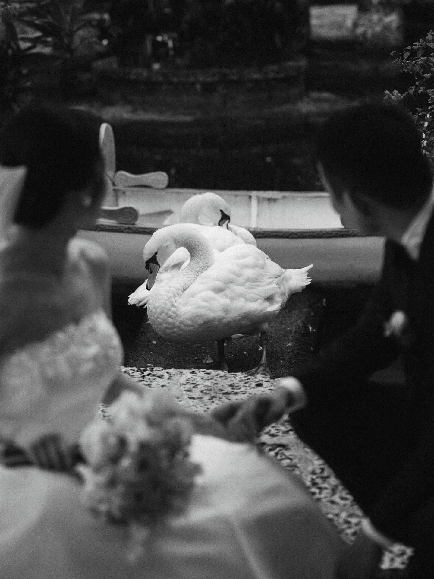 Nobody planned for rain. But the way the light fell through the clouds, the way the palms bent just slightly in the wind — it felt less like a mistake and more like the city was in on it too.
Miami doesn’t do anything quietly.
Photo: @ximuworks_ | Planner: Neo
#MiamiWedding #RainyDayWedding #WeddingInThRain #MiamiLove #FloralandNewYork