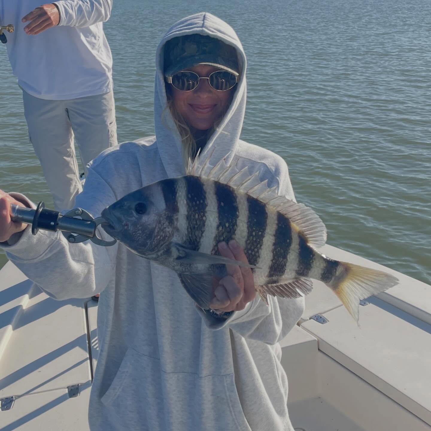 another late season #sheepshead caught among others on this trip! I have a few open days in May, come on! 📲305-778-5342 #a2fishingcharters #irtreels #cajuncustomrods #fourhorsementackle