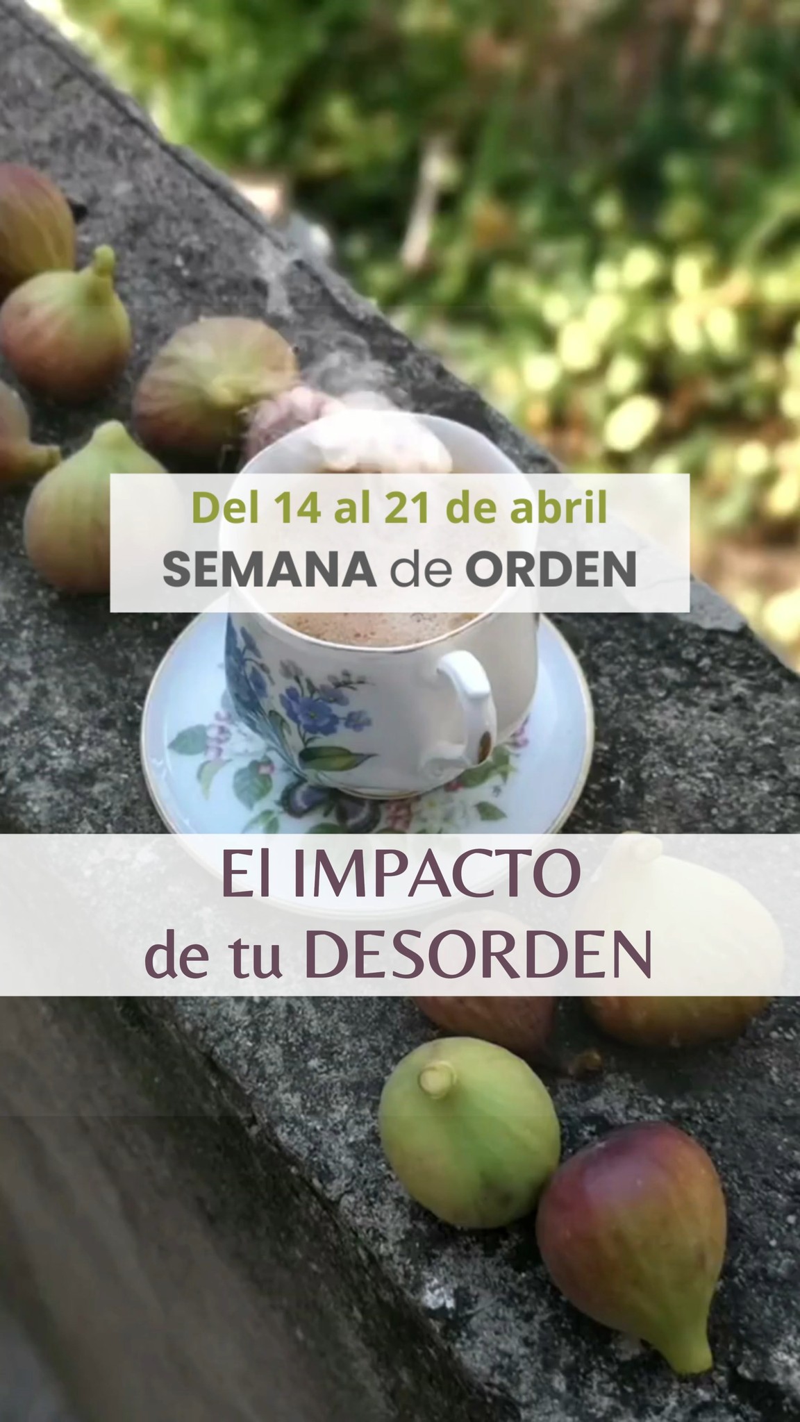 ¿Cómo impacta en ti el desorden cada día?
EL DESORDEN y ACUMULACIÓN de objetos te impiden DISFRUTAR tu casa.
NO PUEDES TIRAR NADA porque NO puedes ELEGIR de qué prescindir.
Lo ACUMULAS EN CAJAS y bolsas para no verlo, pero TU MENTE SABE que están ahí.
Nunca te faltará de nada. ESPACIOS llenos de objetos, VACÍOS DE CALMA para tí.
Cada día RETIRAS DESORDEN diario preguntándote por qué NUNCA ACABA,
¿Cuánto más tiempo te vas a someter al impacto que en tu vida está teniendo tu desorden?
Hay otro modo de hacerlo✨.
Me dedico profesionalmente a ayudar a personas en tu misma situación a salir del desorden y la acumulación de objetos para siempre✨ con un programa de acompañamiento en el que 📆semana a semana ordenarás a la vez que desmontarás su origen para que no se repita y desaparezca para siempre de tu vida 🎯 .
En los próximos días voy a realizar una SEMANA de ORDEN para que identifiques en tu caso qué te mantiene en bucle en el desorden y la acumulación de objetos 📦y cómo SI poder salir de ahí para siempre.👏.
Si quieres aprovechar esta oportunidad, escribe en comentarios la palabra “QUIERO” y me pondré en contacto contigo para darte acceso🌈🎯.
#tresinteriores #LibérateDelDesorden #DesapegoConsciente #SoltarParaCrecer #AdiósAcumulación #VivirSinDesorden #PsicologíaDelOrden #CreenciasQueAtrasan #CambioDeMirada #BloqueosYDesorden #MenteOrdenadaVidaOrdenada #OrdenYBienestar #MujeresQueTransforman #ReinventaTuVida #AdiósAcumulación #ViviendoLigera #CrecimientoPersonalMujer