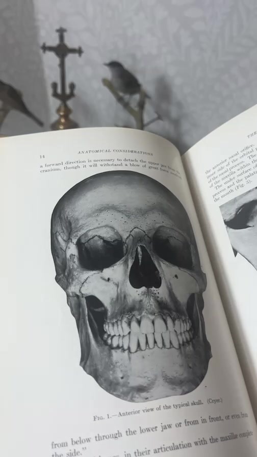 LIVE SALE, have a watch.. if anything takes your fancy, drop me a message! ๐