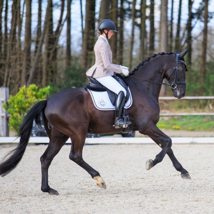 Royal 2B🫶🏼🦄🪩