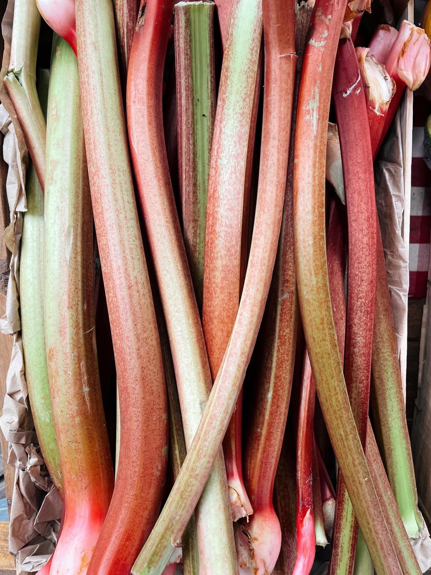 The village country store is looking delicious this morning 😋 fresh rhubarb on the cart, our card rack has had a refill, Mrs Darlington’s preserves restocked, Belvoir farm freshly squeezed lemonade refill & a truckle cheese delivery has just arrived 🧀
Hope you can visit soon enough 🛍️
Open : Wed, Thur, Fri 10-5 & Sat 10-4
📍 The workshop, Halifax road, Thurgoland S357ED
#cellar41 #villagecountrystore #freshproduce #shoplocal