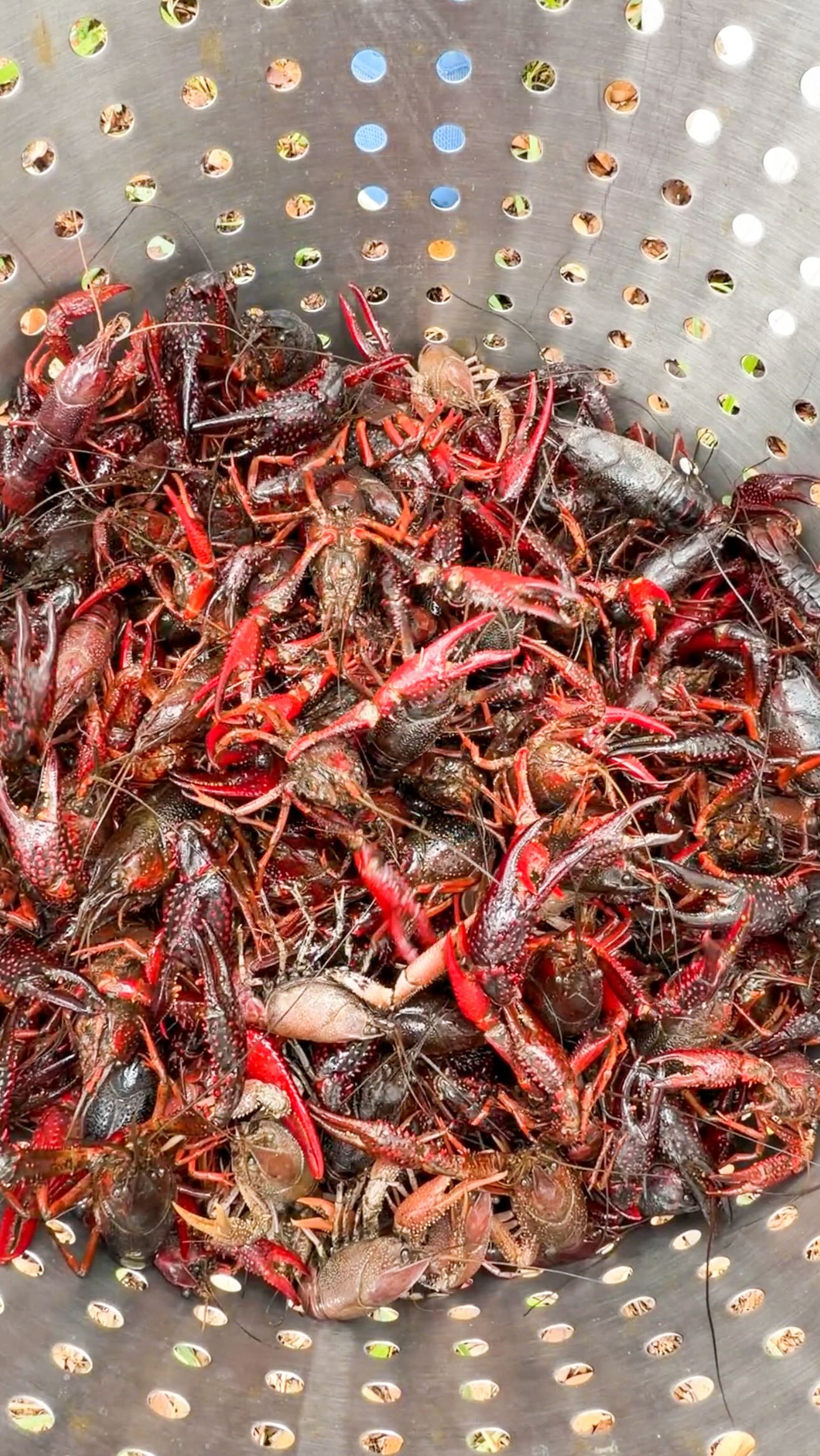 We put the mud in mudbug this year for our Annual Crawfish Boil.
Year 5 brought storms, wind, and plenty of mud, and somehow it just made it more fun… nothing like eating crawfish with a lightning show overhead. Thank you to everyone who showed up, embraced the chaos, and made it a day to remember.
The garage may never be the same 😂🦞
#crawfishboil #crawfish #jennsalladay