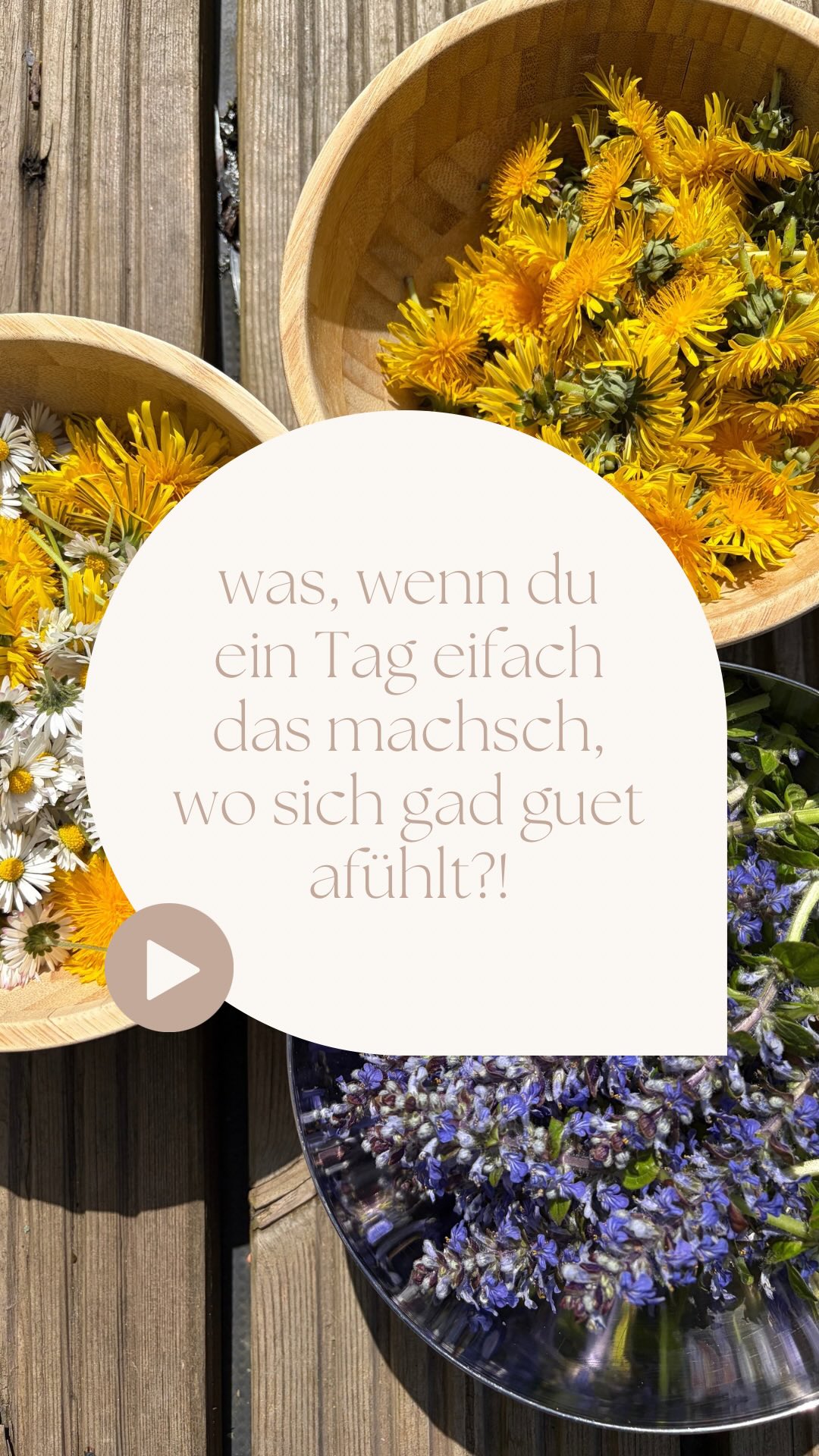 Yep, dr Garte het wele vum Unchruut befreut werde, dHochbeet würdet gern vorbereitet werde und sHuus wür au gern g'staubgsuuged werde. Aber weisch was? Hüt ned - hüt eifach mal ned.
i ha so lust druf gha, zum mal was neus probiere - zum Löwezahn, Margritli und Bärlauch z'pflücke. Zum Sünnele und Podcast lose. Und zum es Buech läse🙏 und i ha eifach gmacht - i ha im jetzt glebt und immer vorzue entschiede, was i als negsts wetti mache. und i ha selte so en stressfreie, unperfekte und eifach inTagläbe Tag gha - und es het sooooo guet tah.
(mir isch bewusst, dass ned jedi Frau das Privileg het sich eifach en Tag "useznäh")
Aber villicht bruuchsch du gad en chliine liebevolle Füdlitritt zum mal dir wieder was guets tue? Wie wärs mit enre chlii Tagesuuziit - eifach sii und inspiriere lah? Negste Sunntig, 26.4. scho was vor??? Eifach "ANUA" in Kommentar oder per DM und i gib der gern wiiter Infos dezue✨💕
STEPHANIEBUECHEL
HEIHEISTEPHANIE
ABTWILSG
FOTOGRAFINSTGALLEN
FOTOGRAFINOSTSCHWEIZ
RETREATSCHWEIZ
AUSZEITSCHWEIZ
ZURÜCKZUMIR
FURNA GRAUBÜNDEN
STGALLEN
RETREATNORWEGEN
TROMSØ
FOTOREISEFÜRFRAUEN
LIFECAOCH
ZYKLISCHESLEBEN
FRAUENPOWER
FRAUENCOACH
TAGESAUSZEITSTGALLEN
STEPHANIESSAFESPACE
SCHWEIZERPODCAST
PODCASTAUFSCHWEIZERDEUTSCH