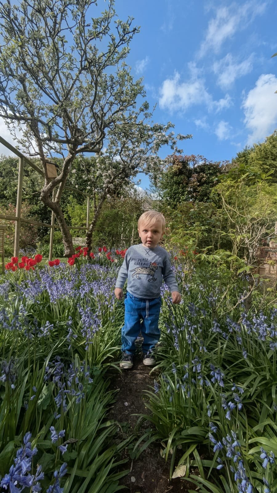 Happy 2nd Birthday my baby Henry. Totes emosh that you’re no longer a squidgey baby! Now a proper toddler. Time, slow down! We love you silly goose 🪿
.
.
.
#2ndbirthday❤️ #boy #boymum #toddler