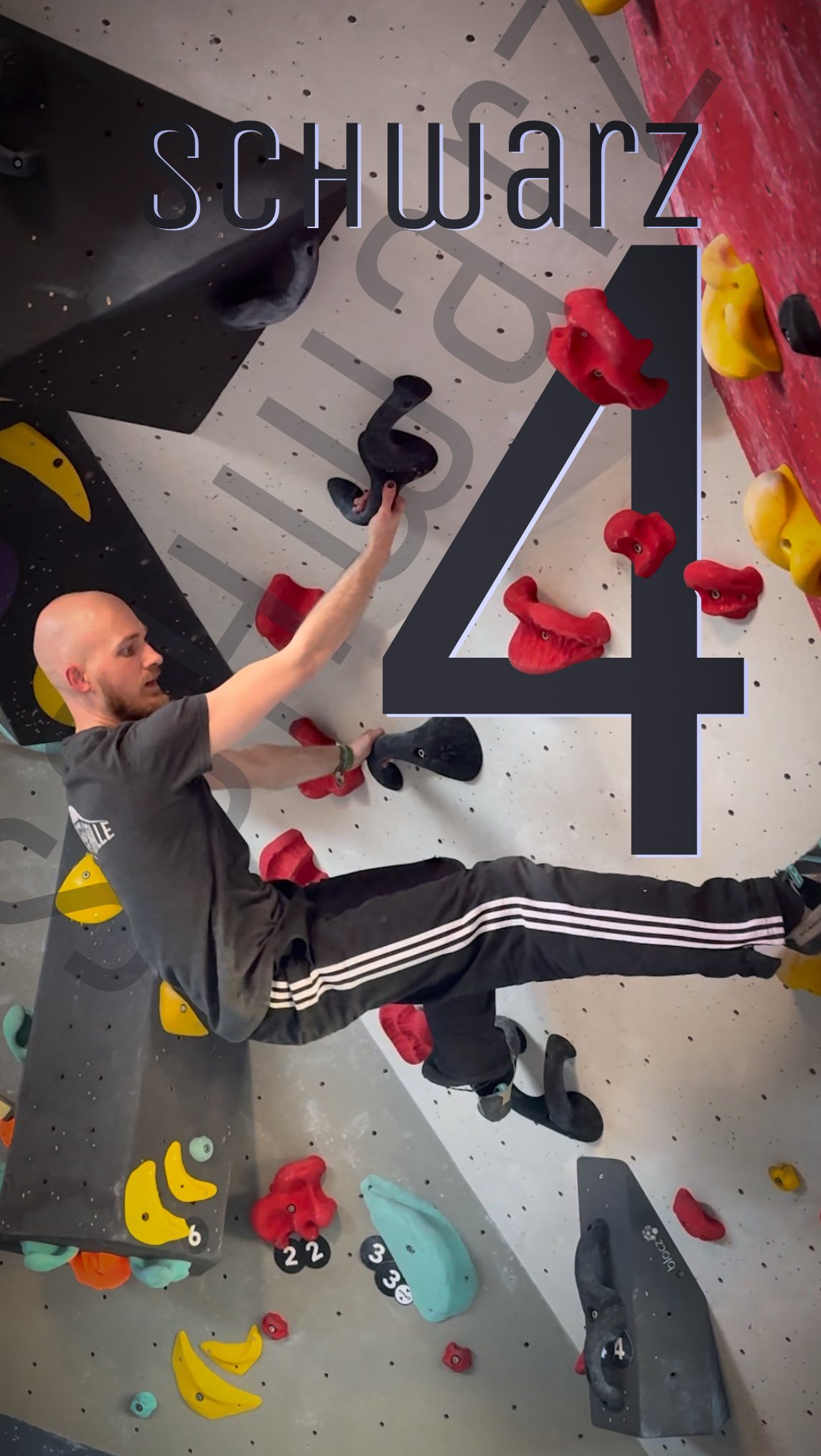 BETA SPOILER | Mit Malte
Malte zeigt uns, passend zum Wochenende, eine elegante Lösung für seine schwarze 4 in der Winkelgasse. Lasst ihm gerne einen 👍🏼 da.
Climbing | Setting: @malteharhar
#routesetting #fliegerhallebraunschweig #bouldern #bouldering #betaspoiler