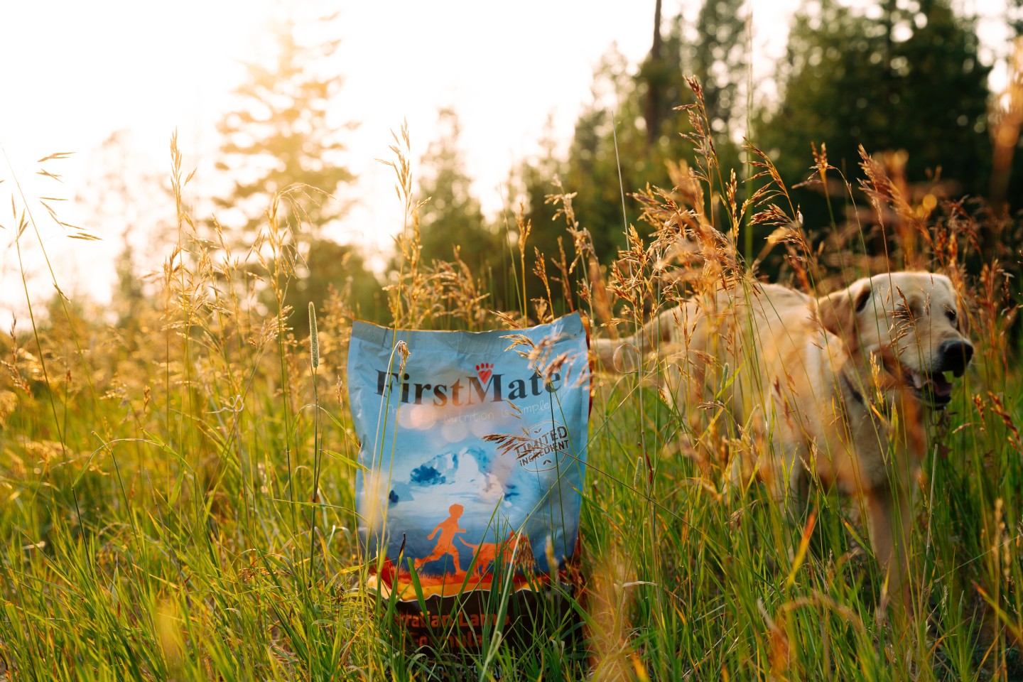 FirstMate’s Australian Lamb Meal Formula is designed for dogs who need a clean, focused diet — made with grass-fed Australian lamb as the single protein source and a short list of carefully selected ingredients.
✔️ Grain & pea free
✔️ Limited ingredient formula
✔️ Supports dogs with allergies & sensitive digestion
✔️ Made with free-range lamb, no added hormones or antibiotics
Fewer ingredients = fewer worries 💚