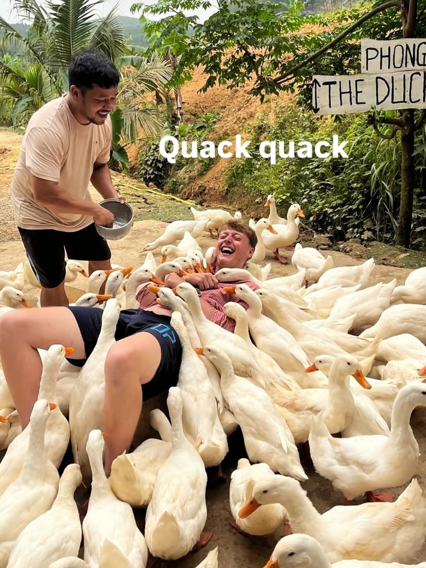 🦆Quacking times for TravelGrad Oli Today!🤣