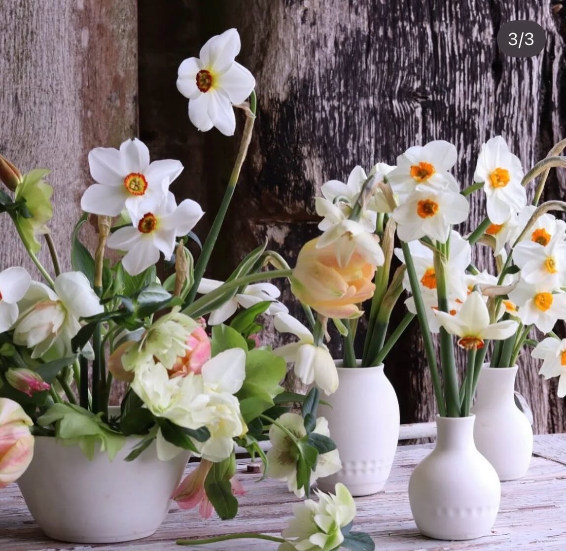 Introducing our Spring Brocante Exhibitors 🌿
@megankeechceramics
Megan creates beautiful hand thrown porcelain ceramics from her rural Wiltshire studio. Each piece is carefully hand made, so no one piece is ever the same. Scroll to see some of her pretty range of useful and decorative pieces inspired by nature and the seasons 🌿
We are delighted to welcome @megankeechceramics to the Spring Brocante and you’ll be able to find her in the Pavilion @larmertree 🌿
Join us over the May Day weekend for another beautiful event in this stunning location 🌿
The Spring Brocante
3 - 4th May
Larmer Tree
Nr Salisbury
Artisan Makers | Handmade | Ceramics | Spring Brocante | May Day Weekend | Shop Independent | Brocante Shopping