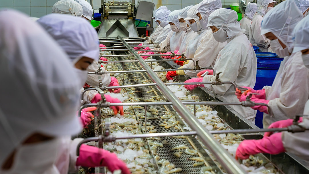 MASA — Making Americans Serfs Again. A comprehensive report tracing the money, policy shifts, and institutional changes that explain how power and public resources are being redirected. Read the full piece and let us know what surprised you. Link in Bio #MASA #MakingAmericansSerfsAgain #FollowTheMoney #investigative #longread